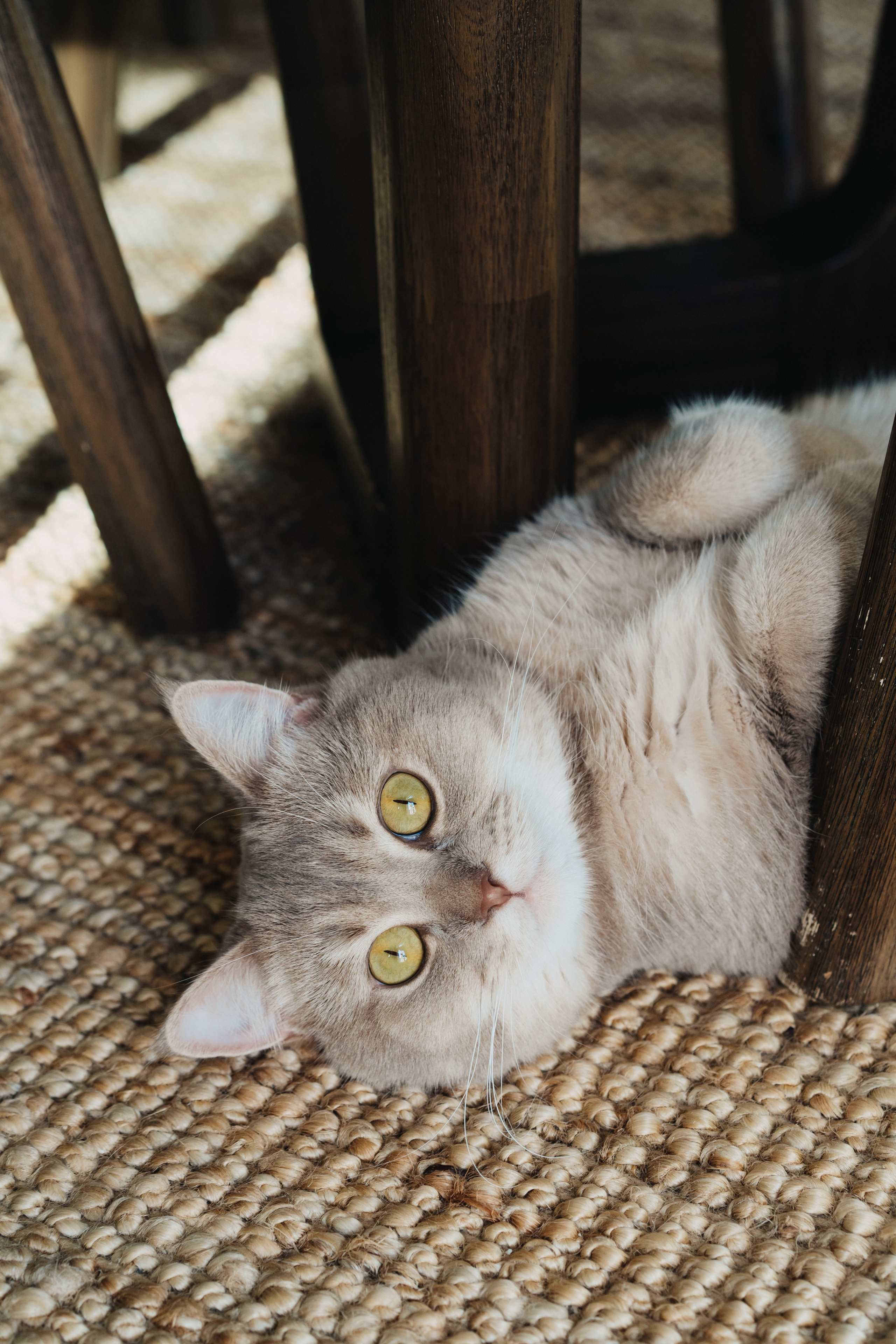 Home. Elena Baturina Photography