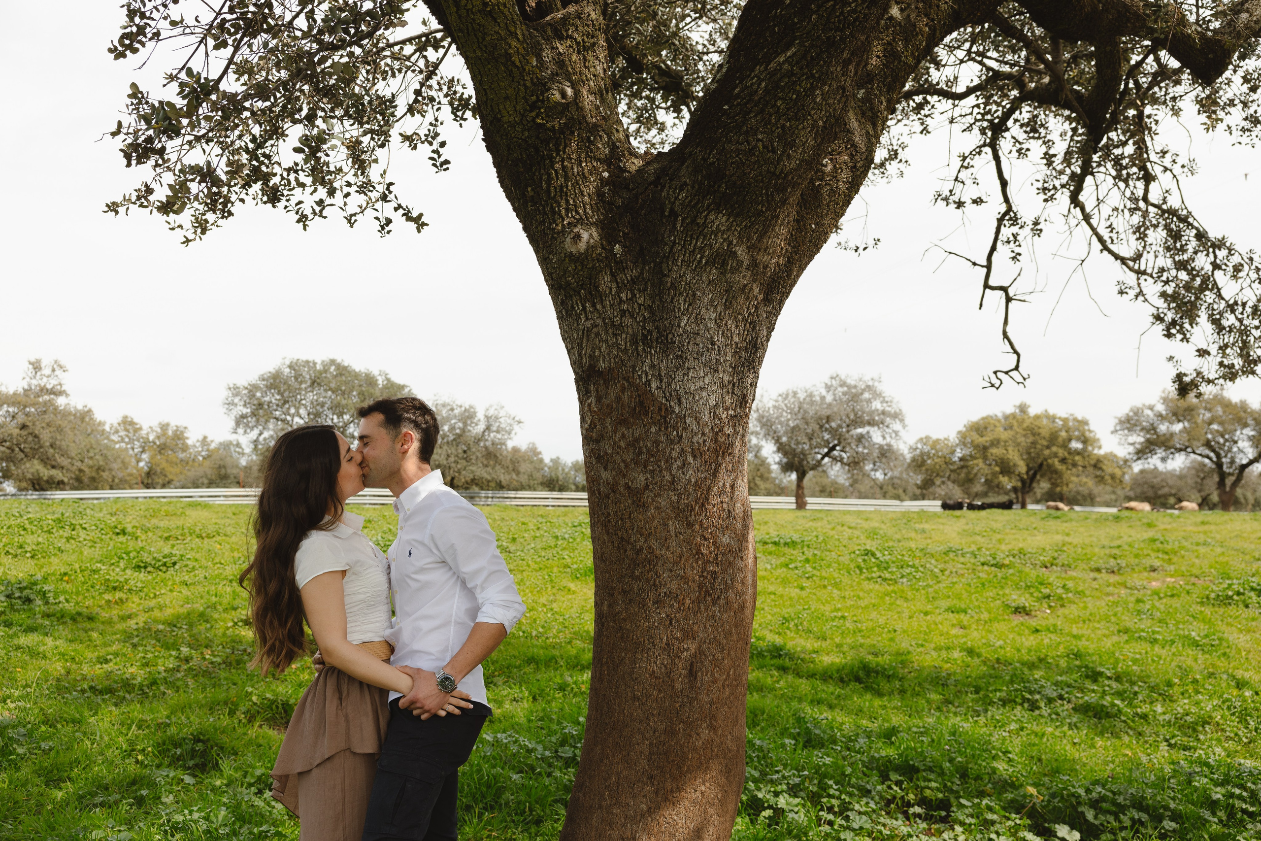 PREBODA EN UNA GANADERÍA DE TOROS. Fotógrafo y Videógrafo de bodas y eventos