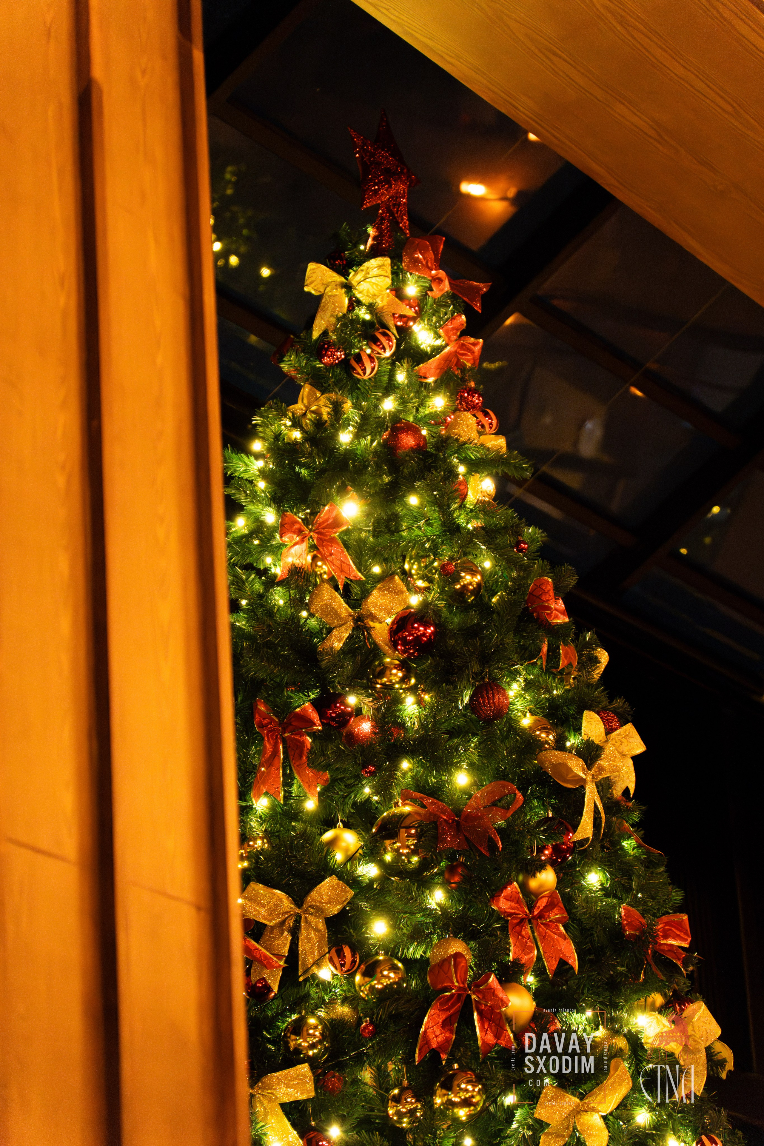 Новогодняя вечеринка | Фоторепортаж | Афиша | DAVAYSXODIM.com PHUKET. АФИША|ФОТОРЕПОРТАЖИ|ИВЕНТЫ|ПХУКЕТ