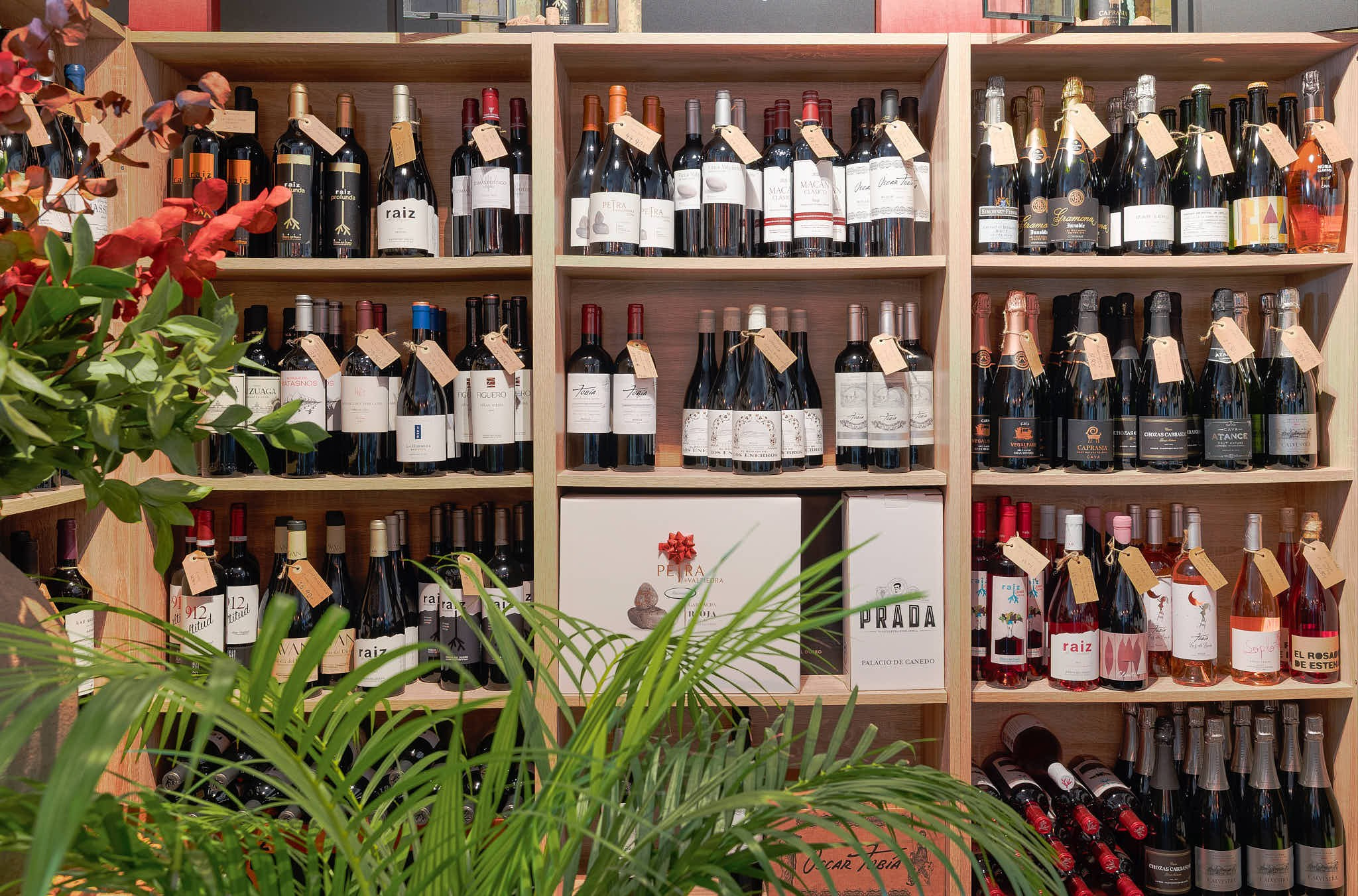 Estanterías con vino y plantas en el interior de una tienda en Valencia