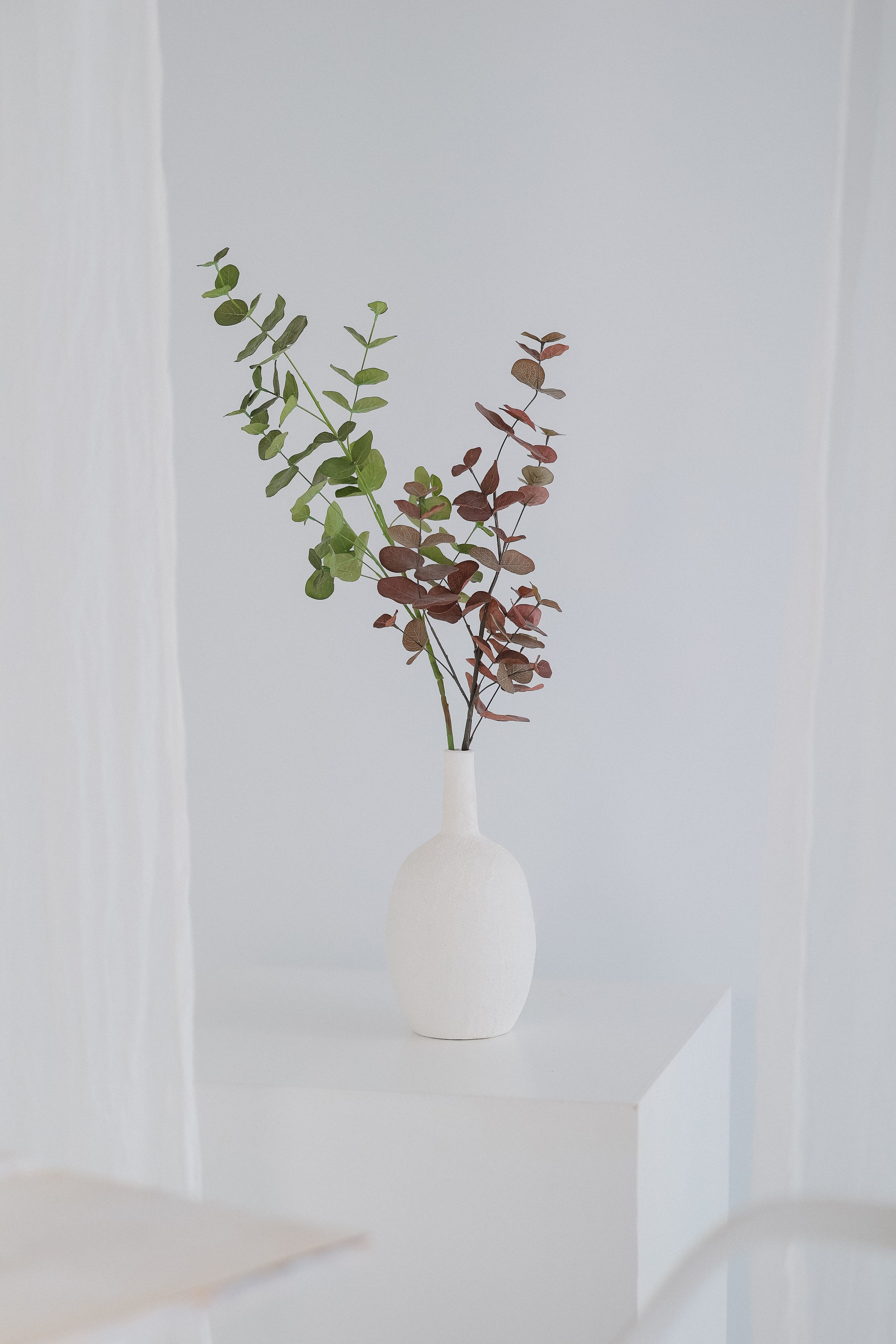 The Doctor of Psychology. Photographer Marina Gargi