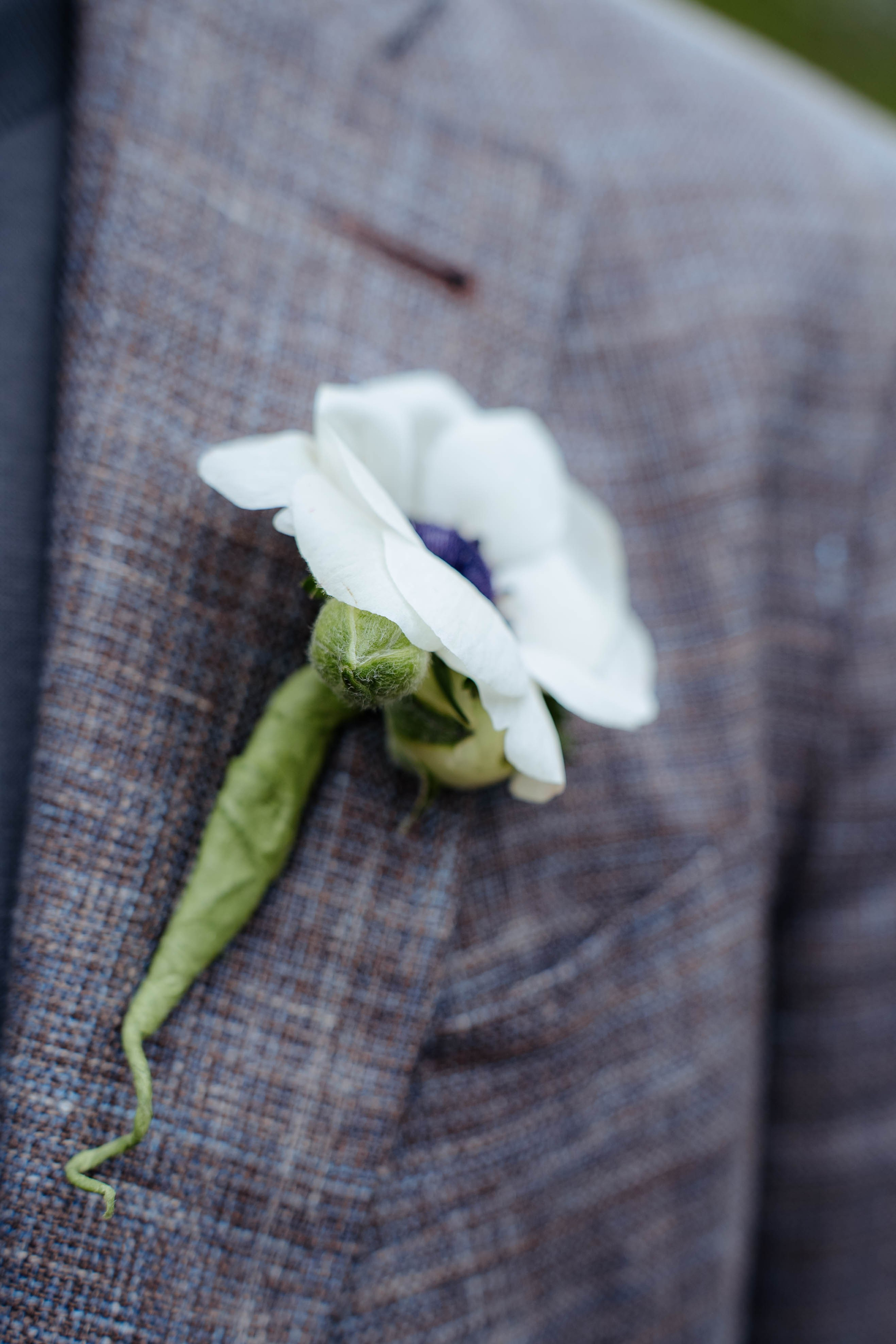 Wedding David&Lilya. Michael Pixel Photography | You’re a Star