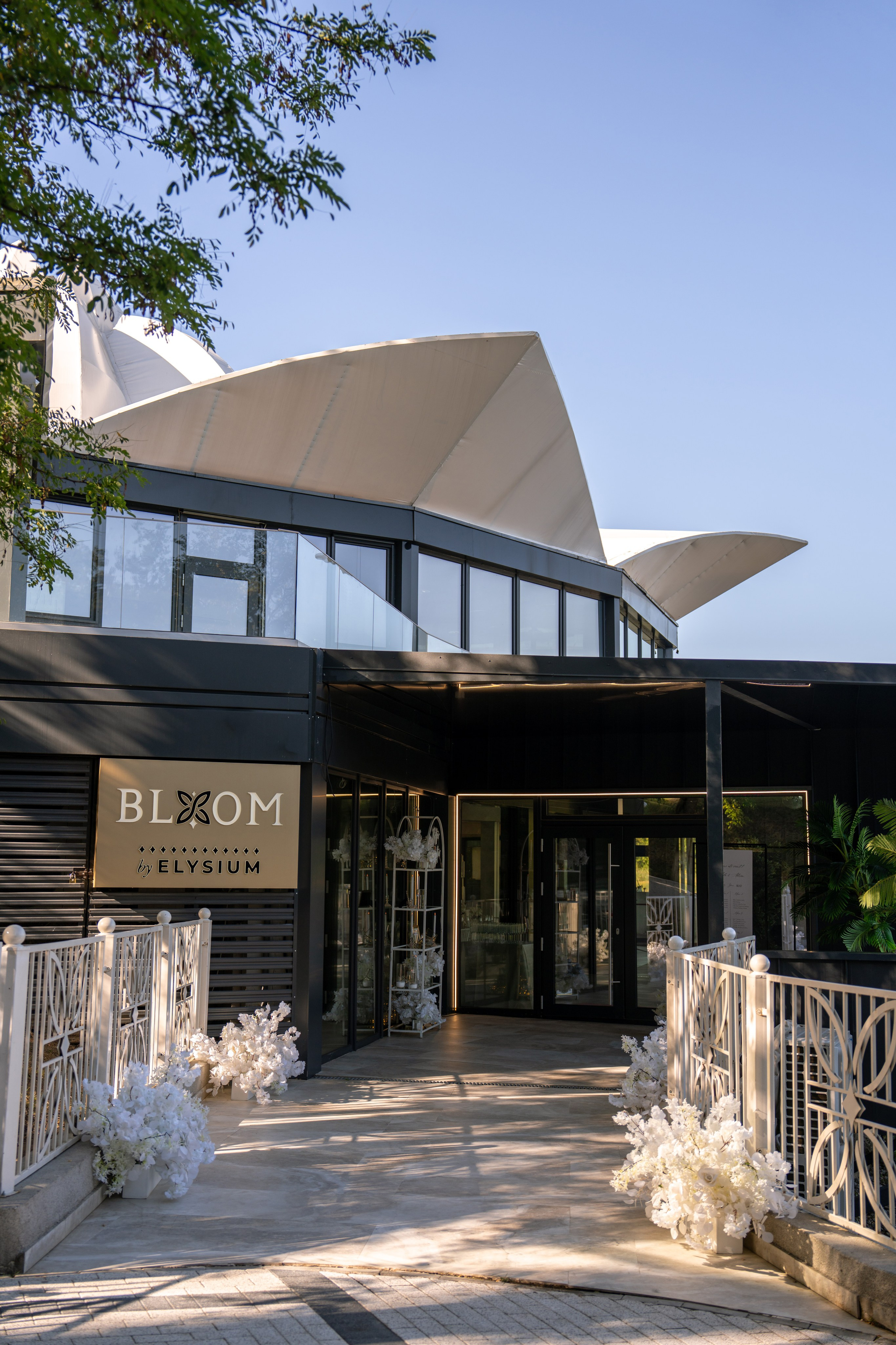 Aida & Adrian. Studio Timis