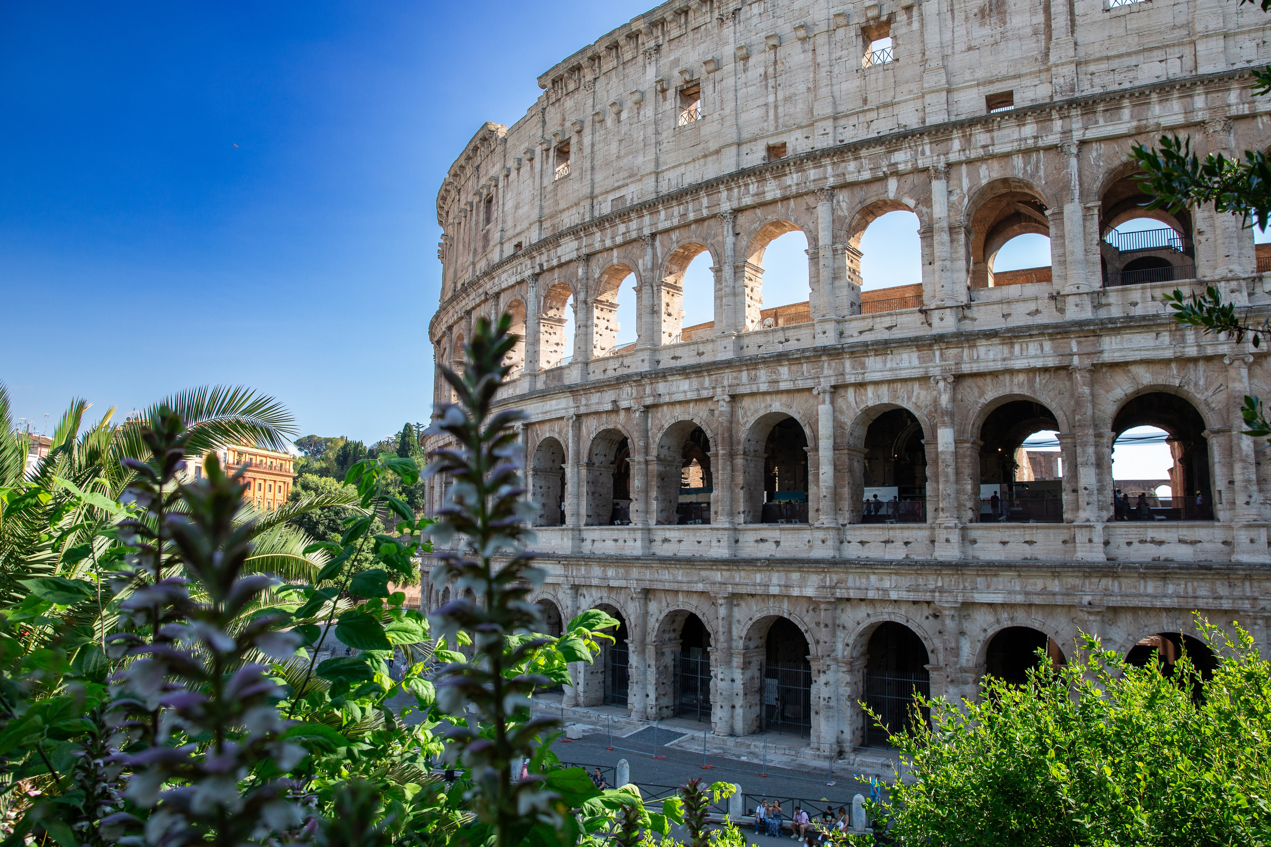 Paisagens. Thiago Chinellato