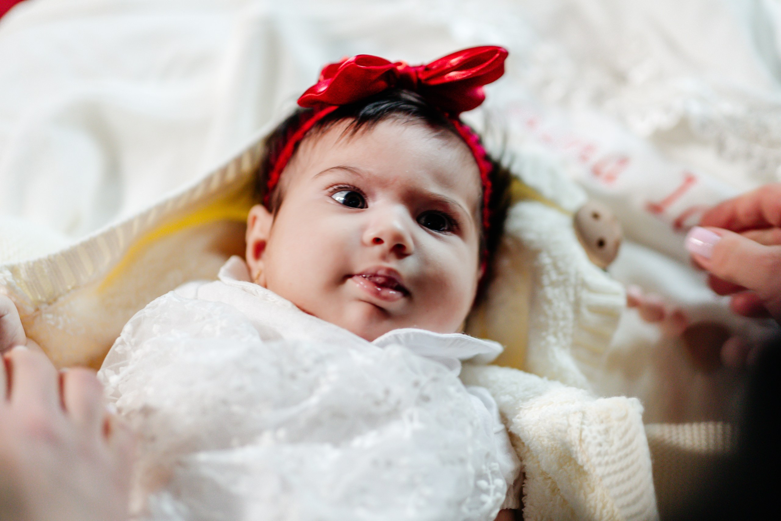 Botez. FreitagPROFOTO