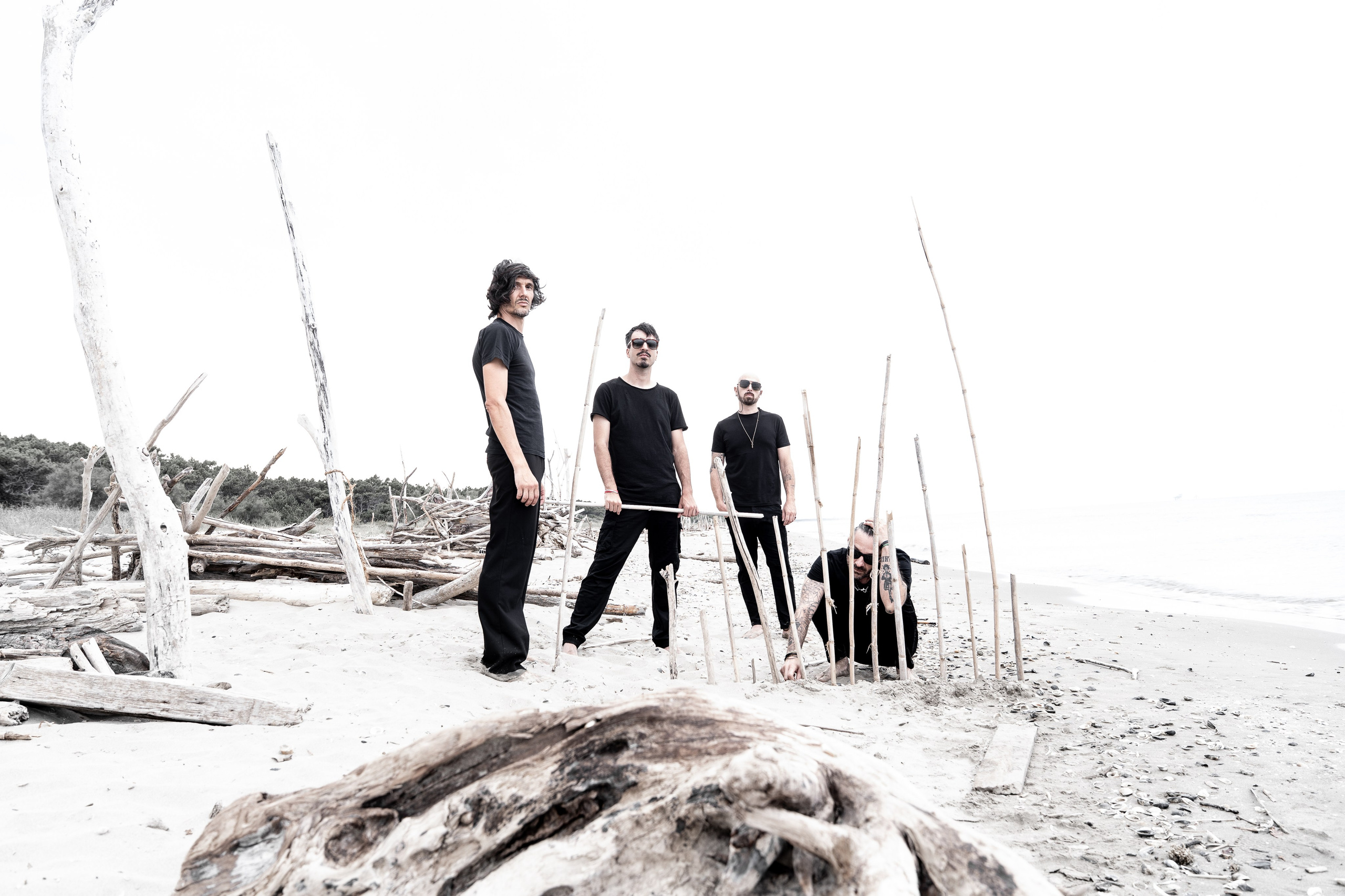 Blastema. Fotografia e video