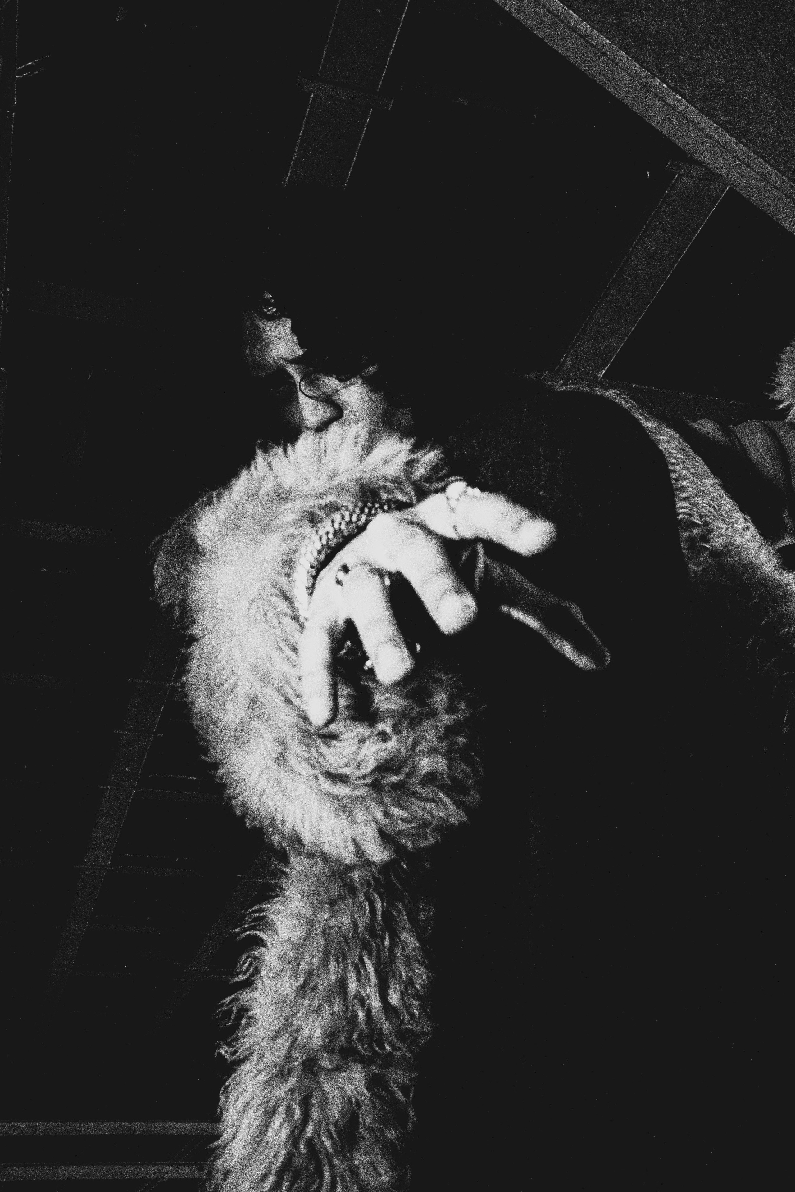 PIYAL PROJECT. Anna Miyauchi