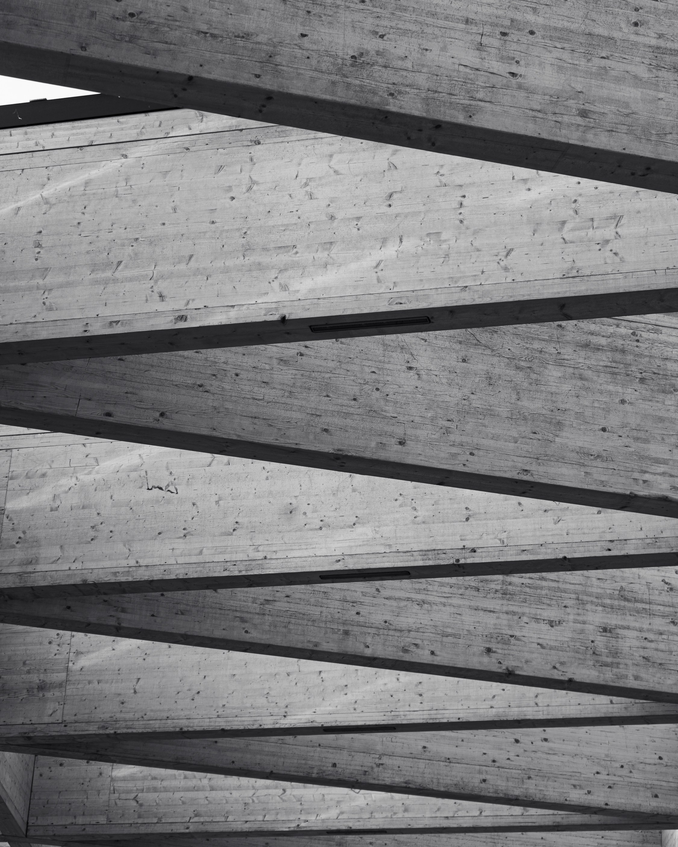 NETHERLANDS. MA Visuals — Fotografia e Vídeo