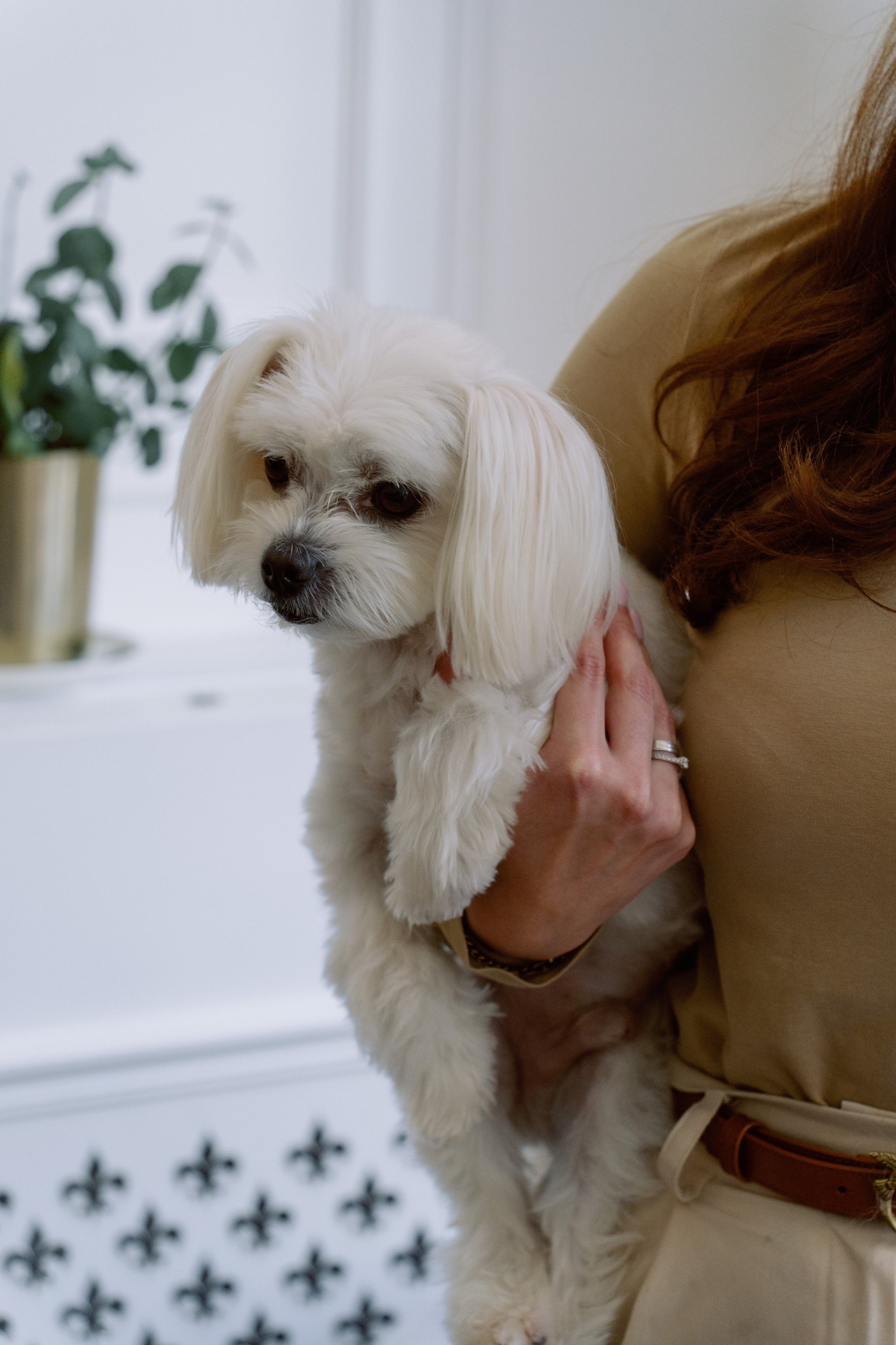 Репортаж / Мероприятия. Портретный и свадебный фотограф в Риге