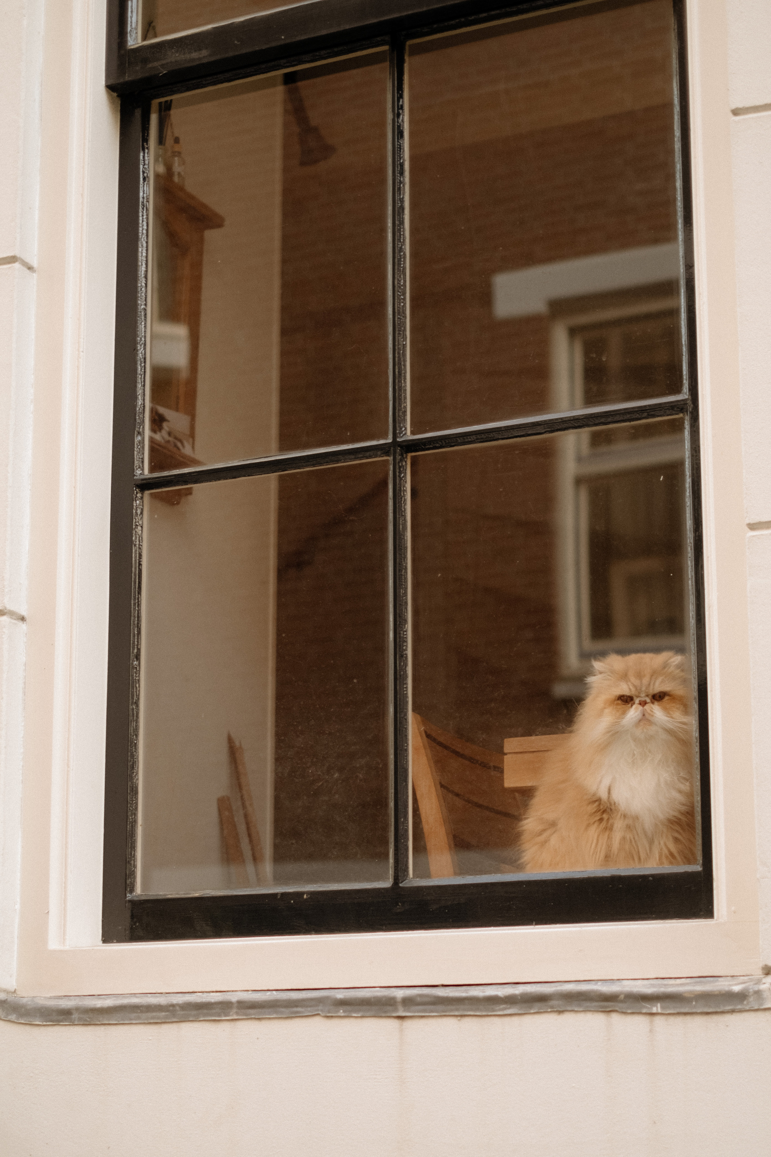 Marina. Lifestyle photographer in Amsterdam Astya Geza