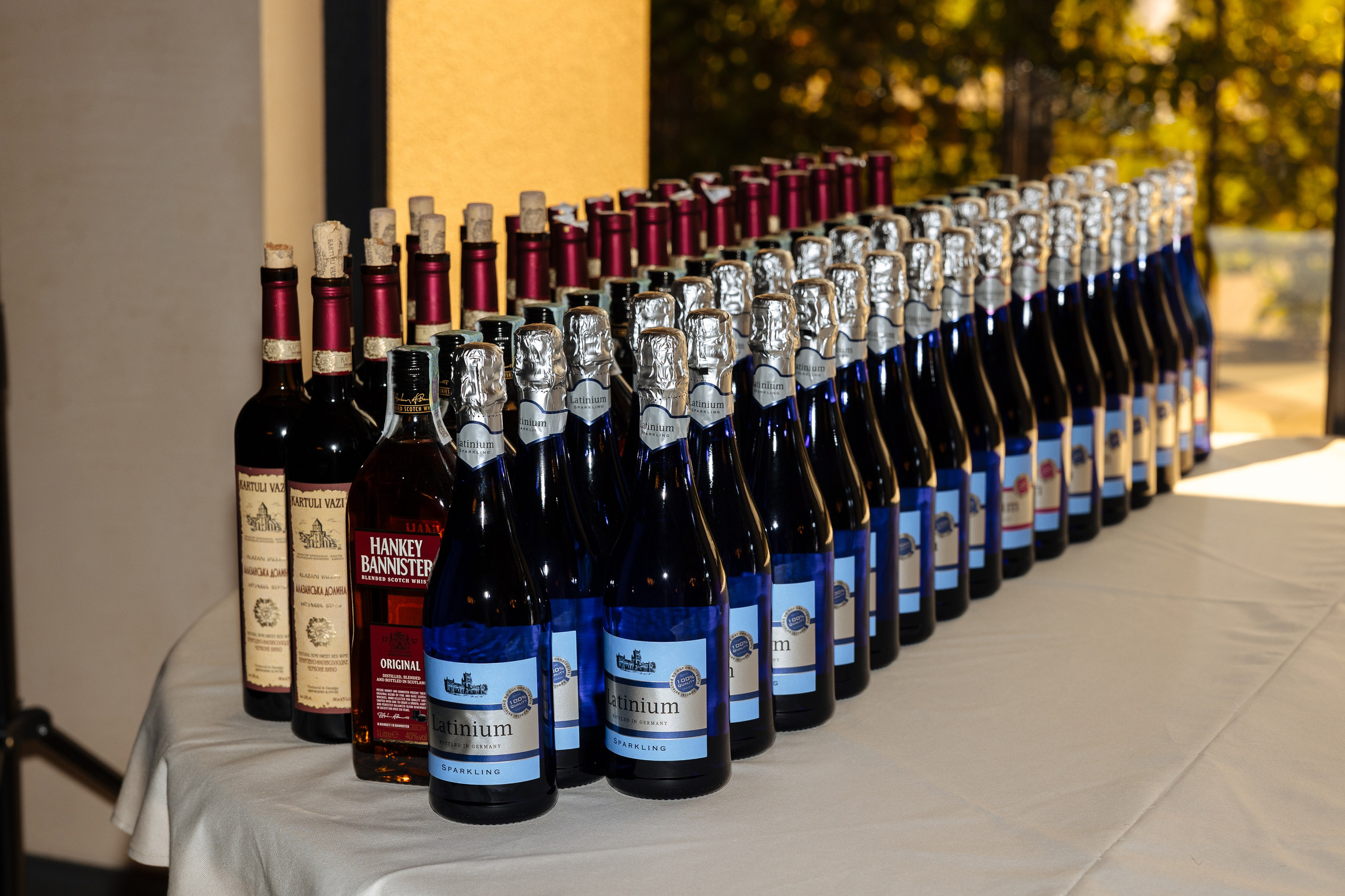 Diana Vlad. Ірина Терещук