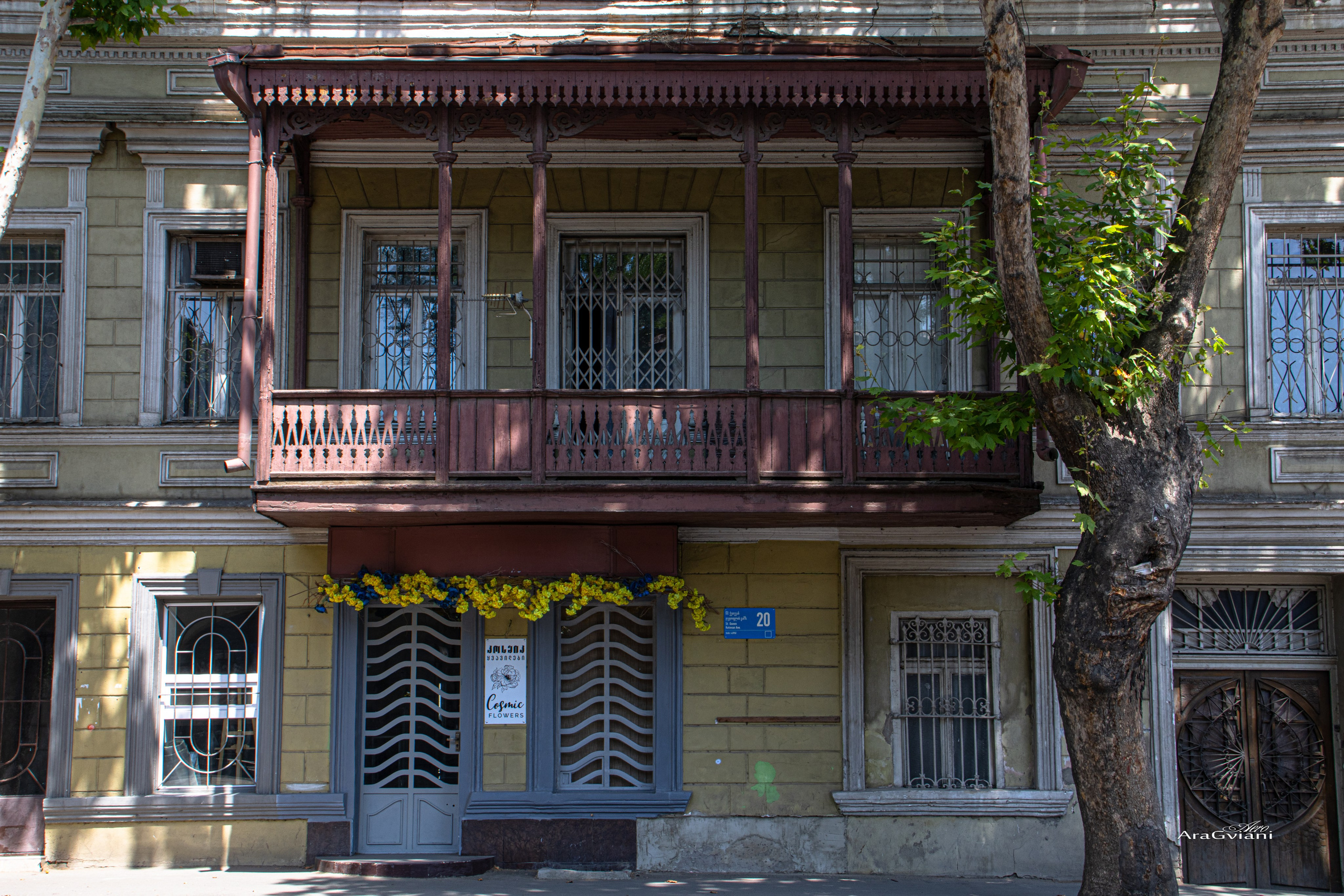 ქალაქი და ადამიანი. FramefreeMan