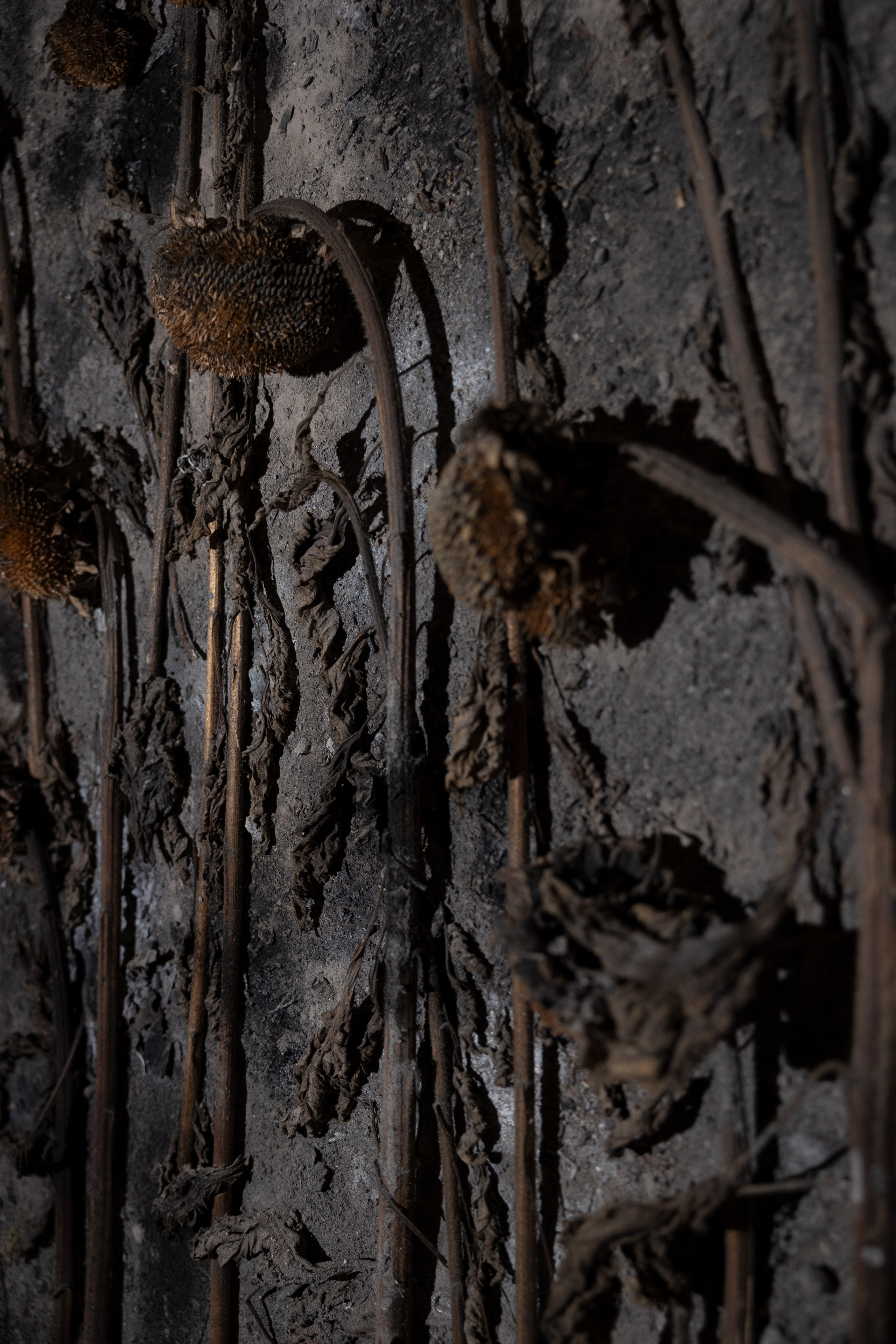 Nature morte. Anne-Flore REY, Artist — Painter and Sculptor in TOULOUSE (FR)