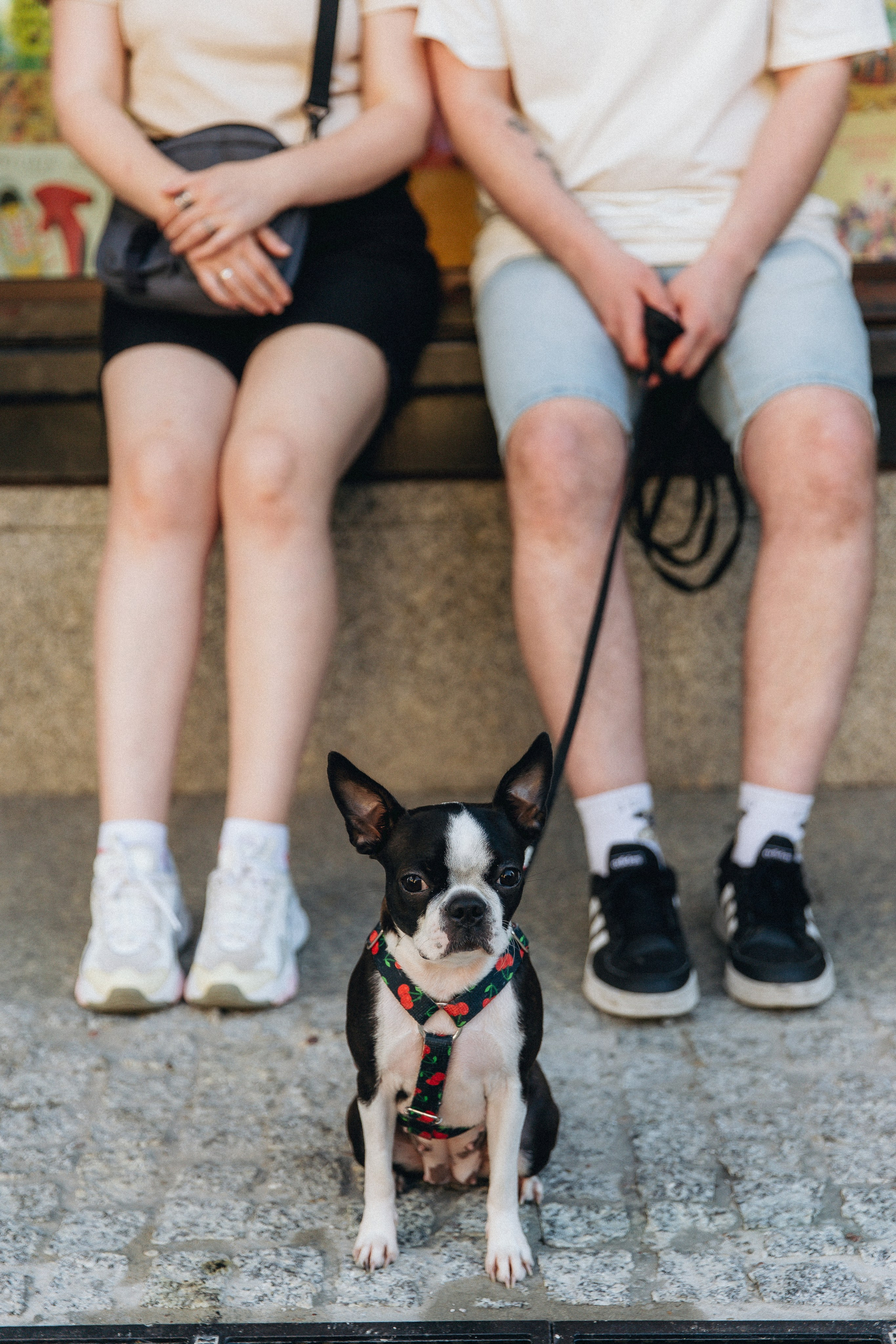 Polina, Dima & Roxy. Photographer in Los Angeles. Julia Ishmuratova