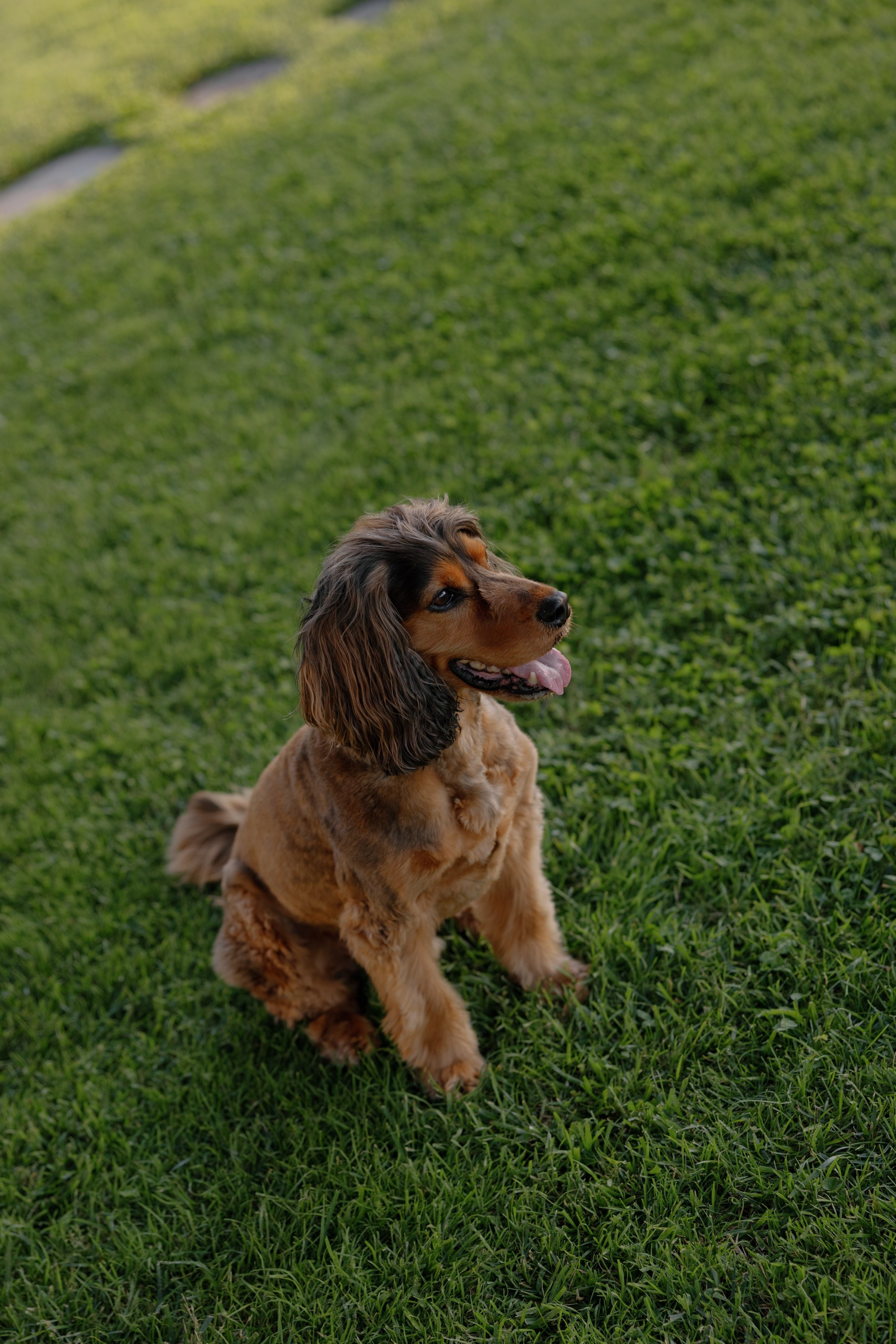Andrew 🤍 Tilly in Tuscany. Fotografa Rimini