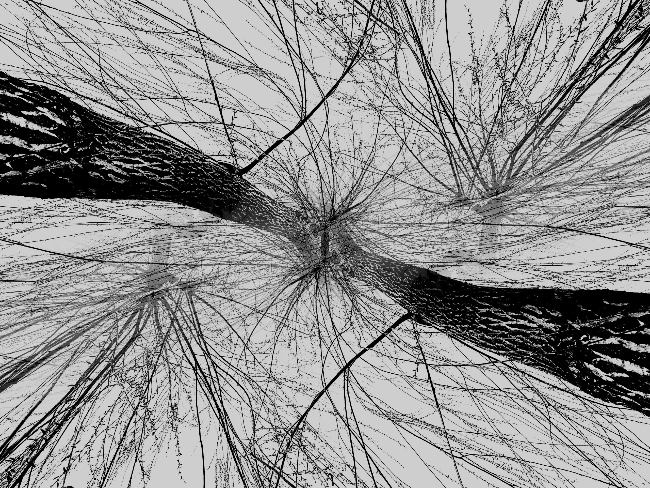 Glitch art. Современное искусство, глитч арт, glitch art