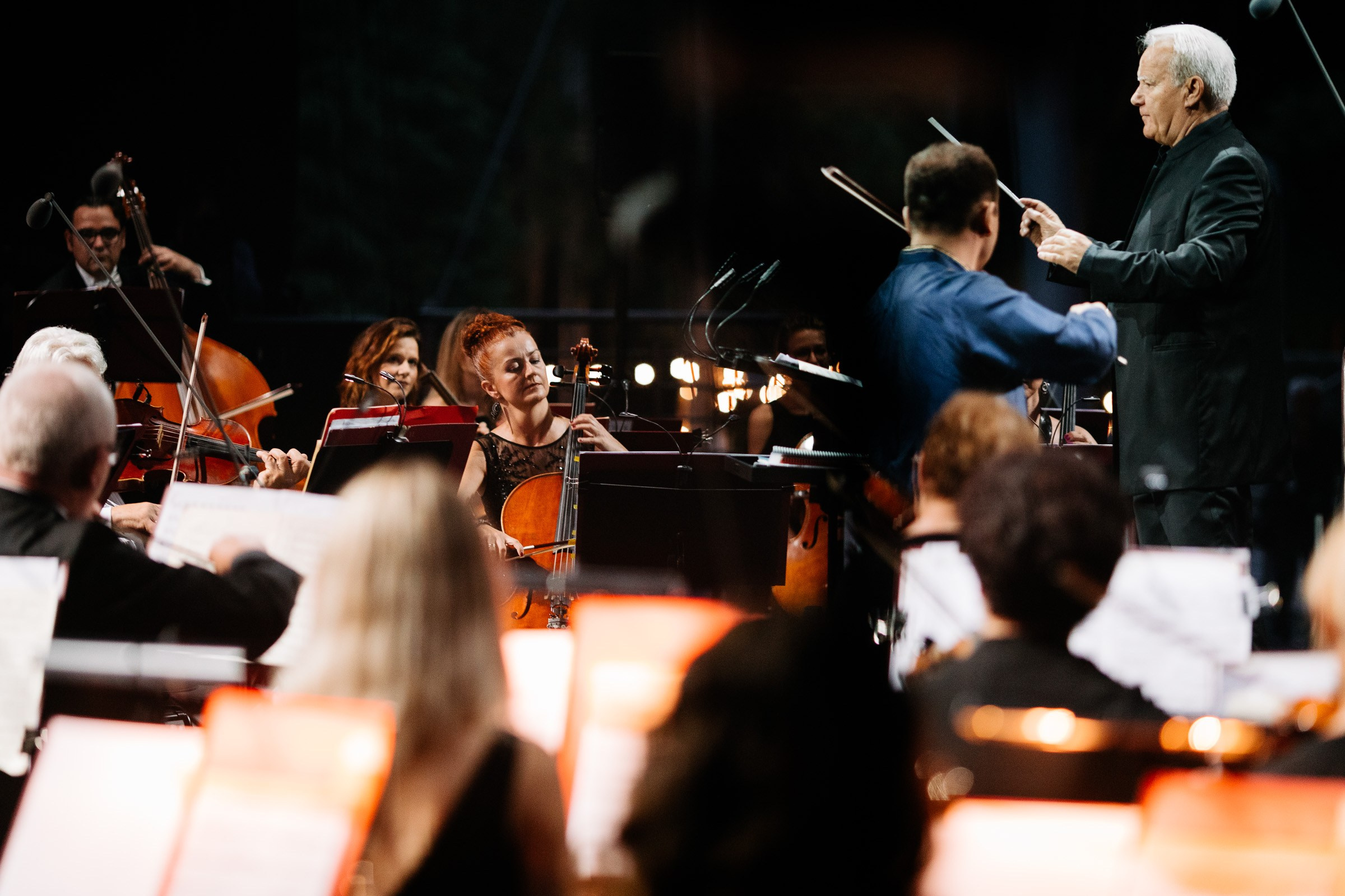 Opera Leśna Koncert. Fotograf Ślubny Warszawa - Sesje Biznesowe Rodzinne Eventy