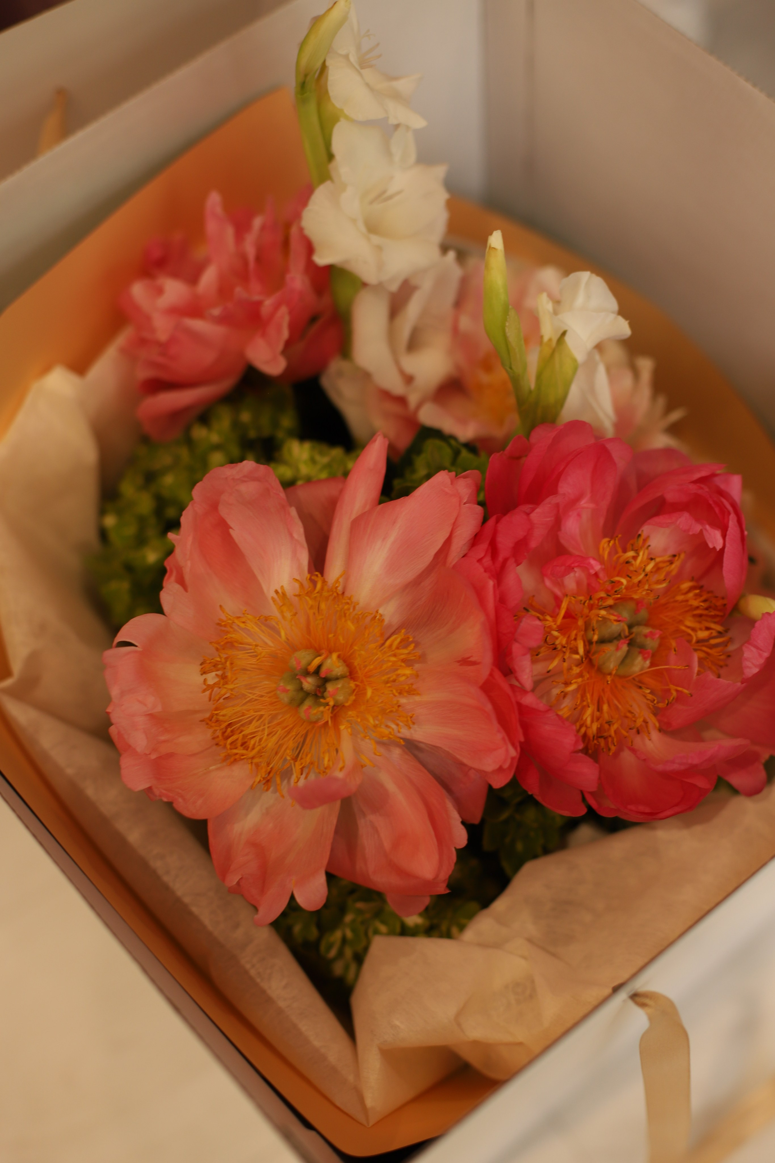 Seduction godeess. VALERIIA VIUNOVA individual shooting\love story\event\brand