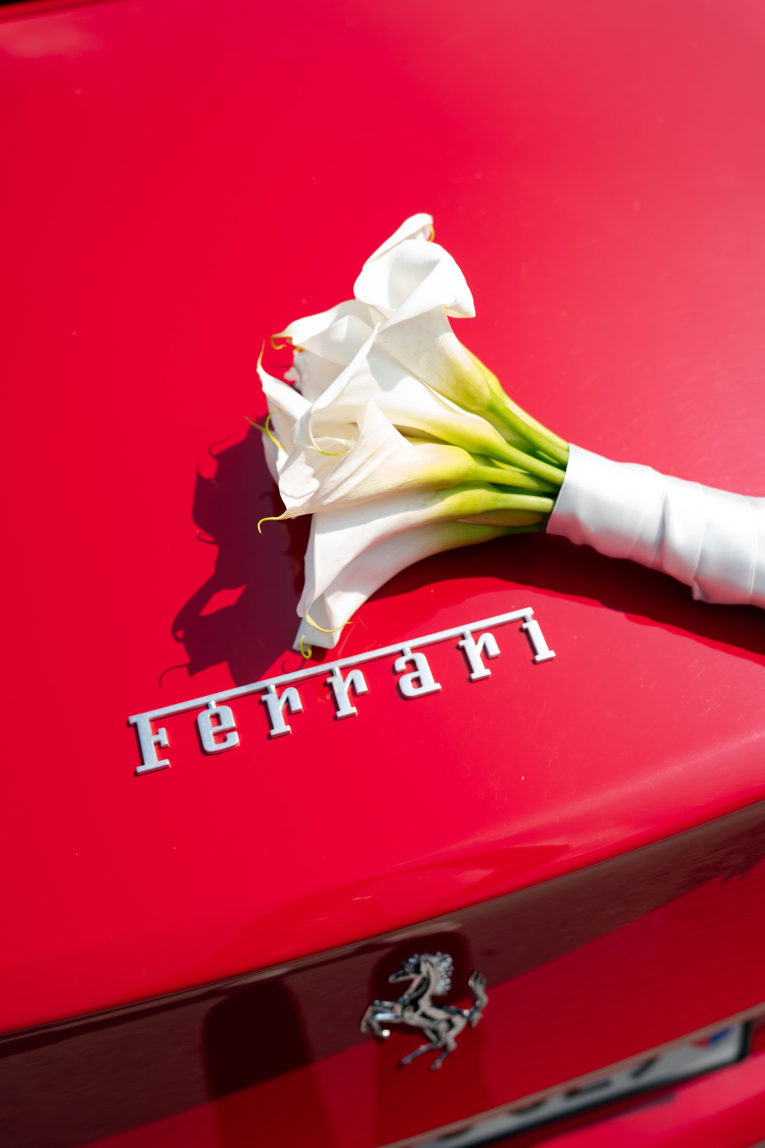 Cosmin & Georgiana. Studio Timis