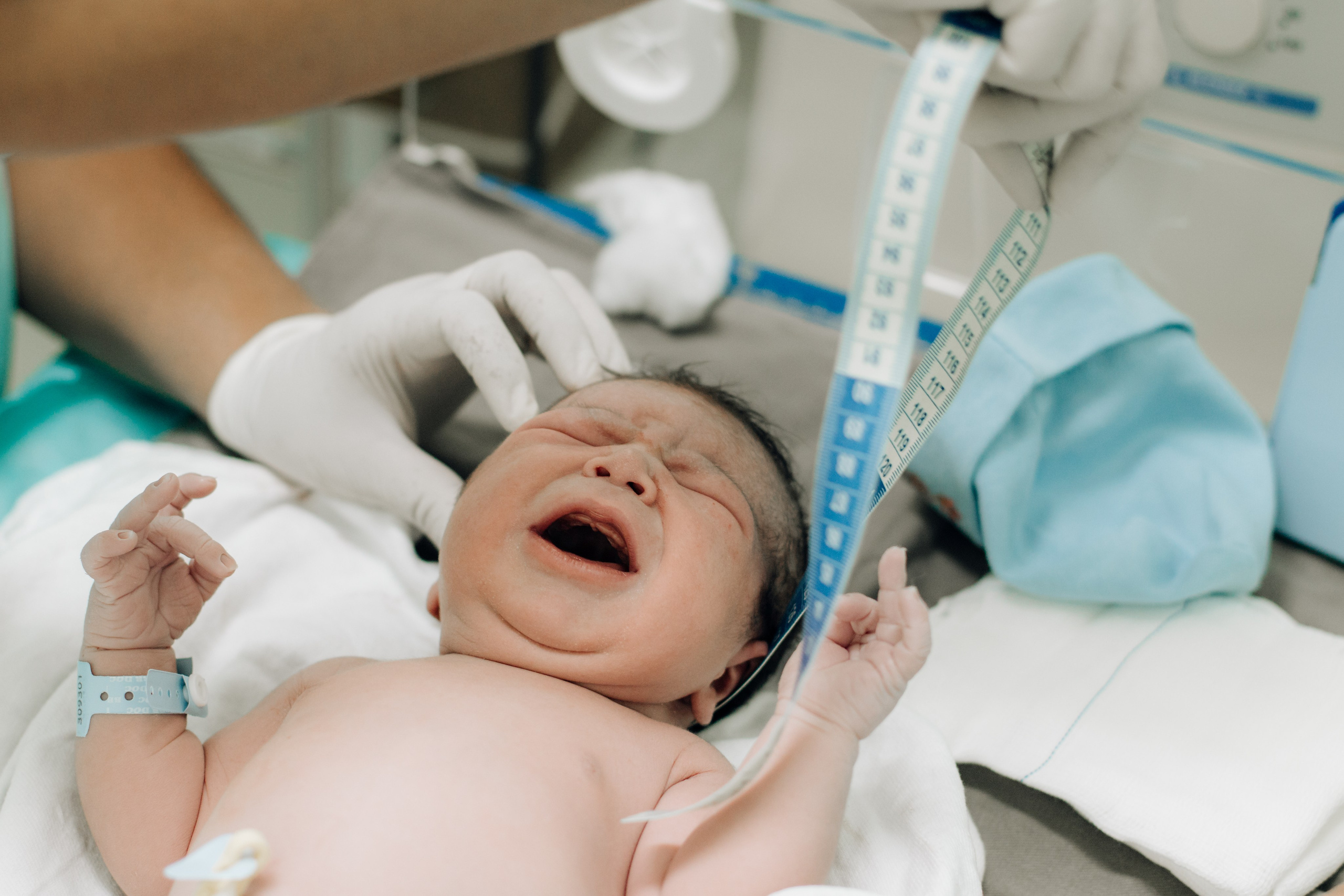 Nascimento Lucca. Principal