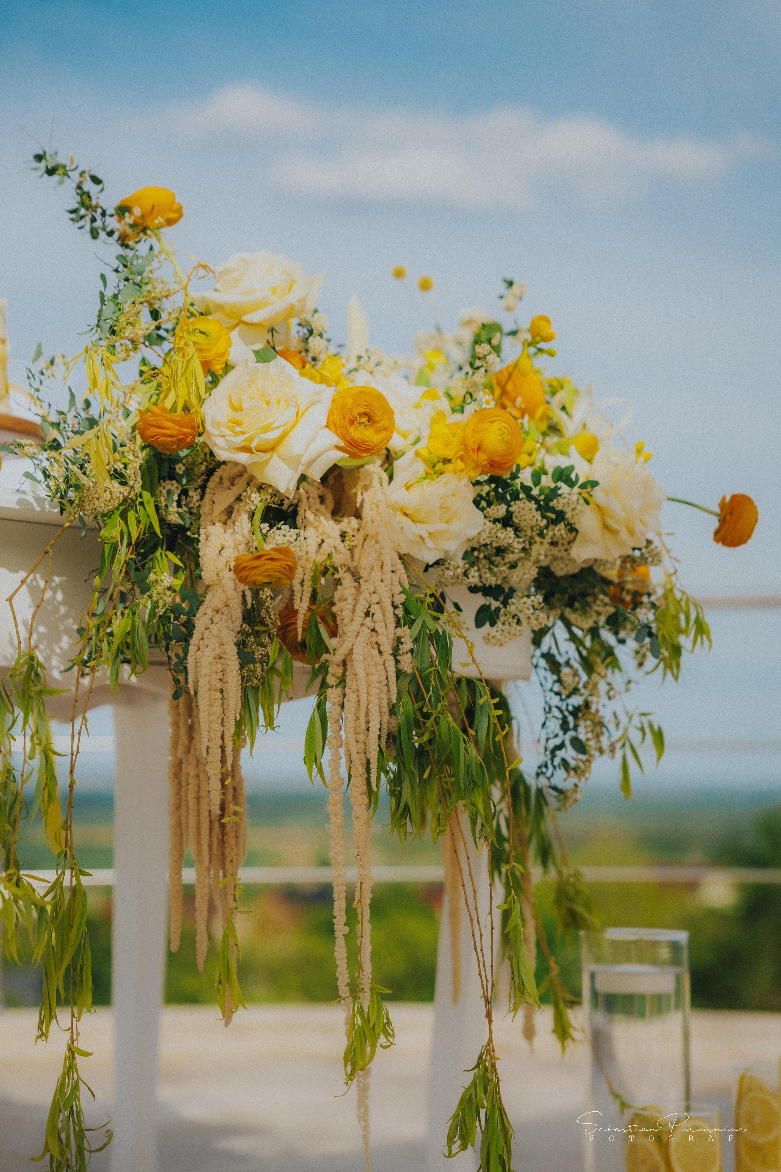 Love & Lemons. Sebastian Purusniuc Fotograf - Iasi