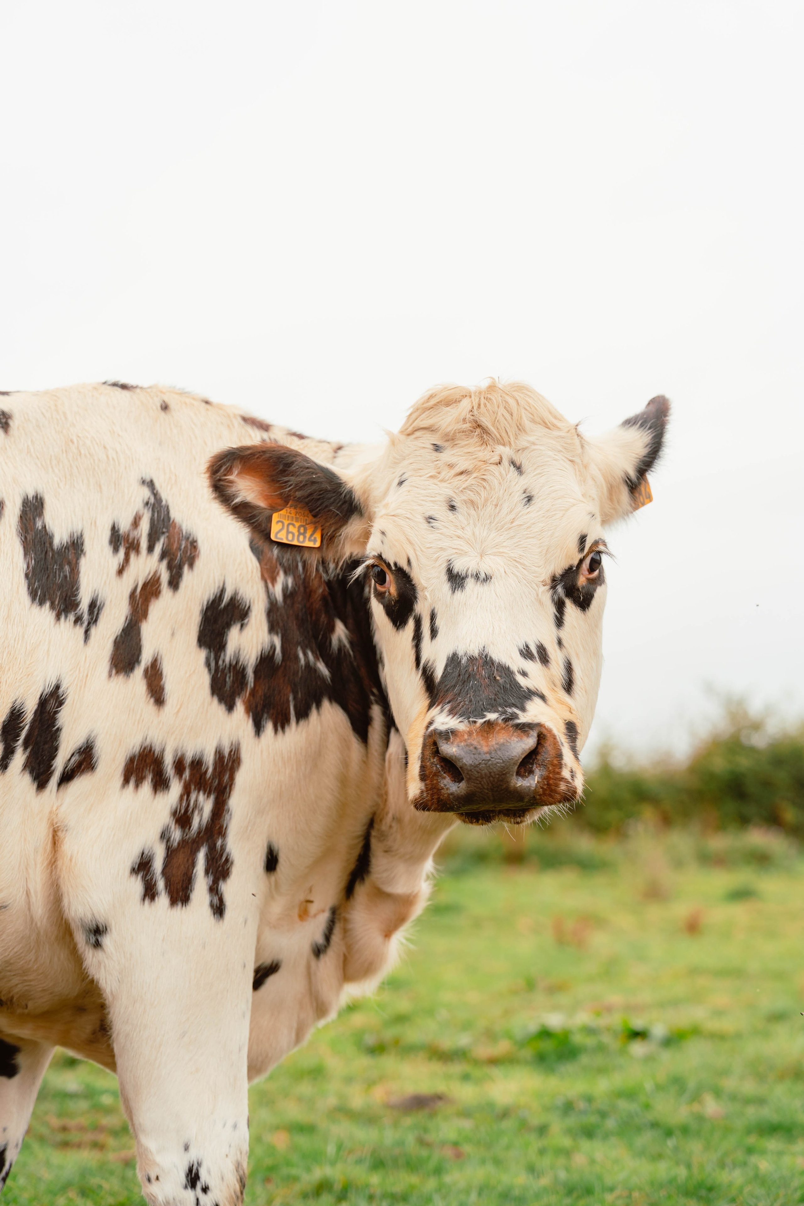 Solidur. Weeding photographer / event / portrait