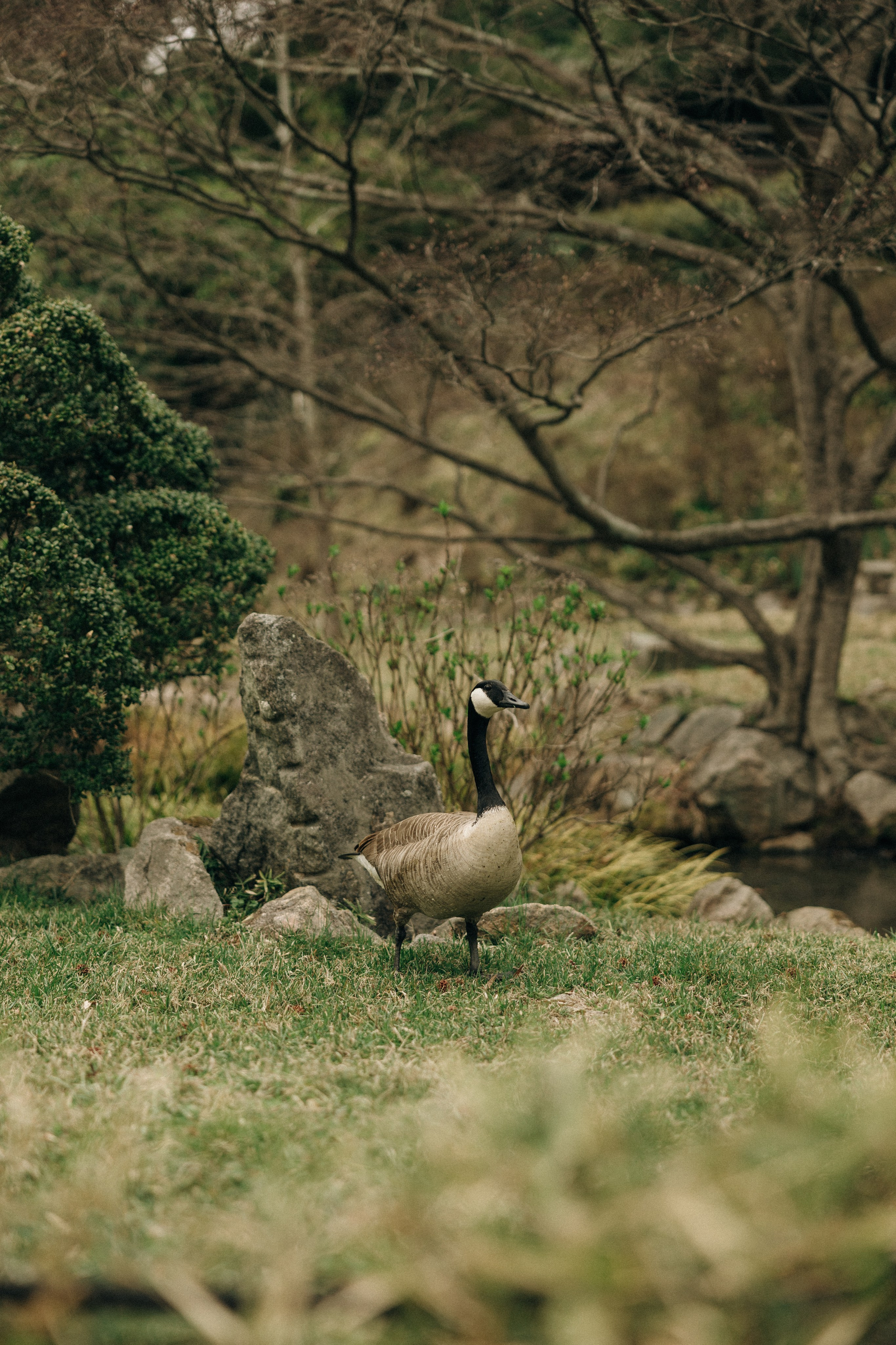 Tassia&Lilian Elopement. Sara Eulalia | Virginia Photographer