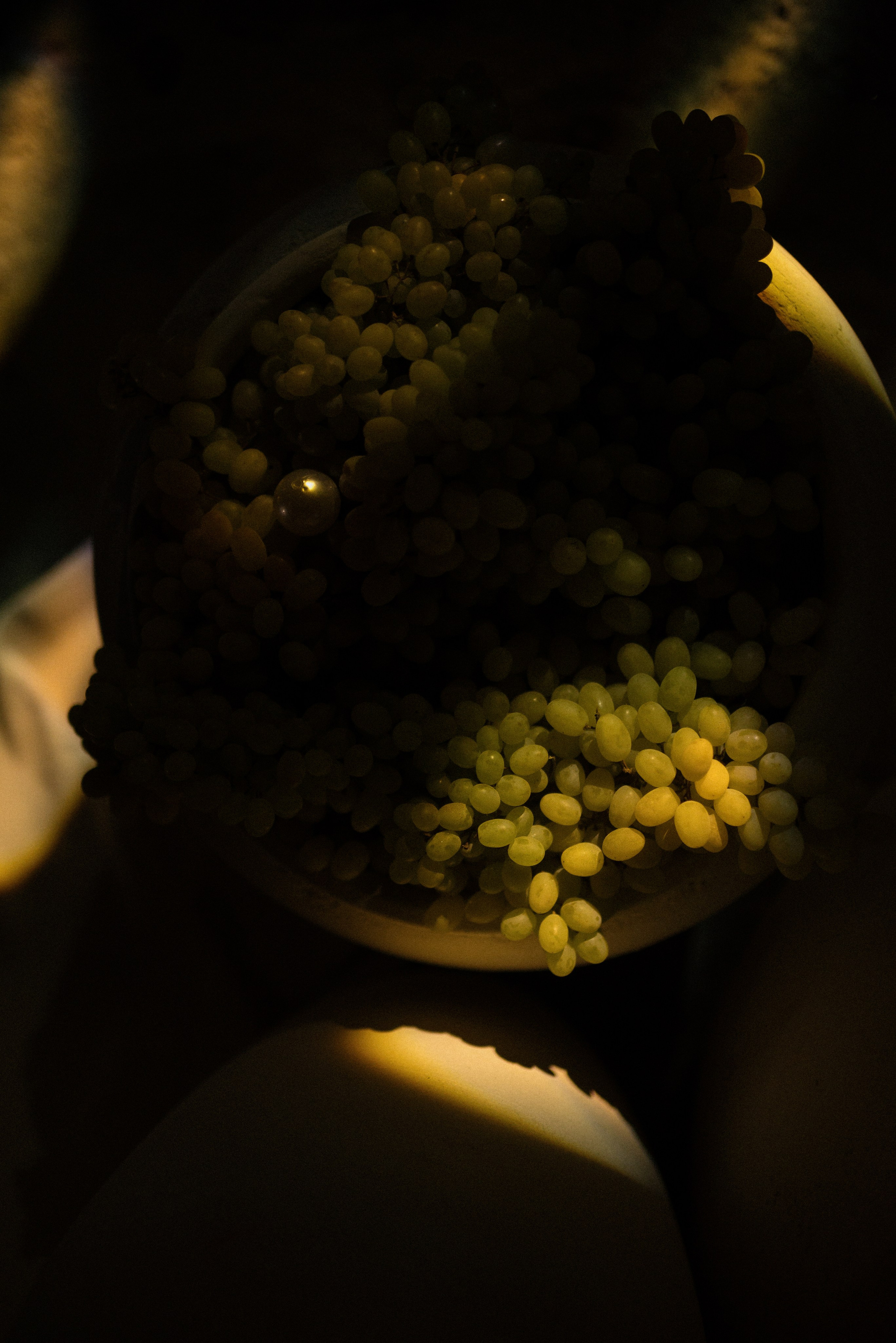 Yulya | Dima. Мария Гуржеева