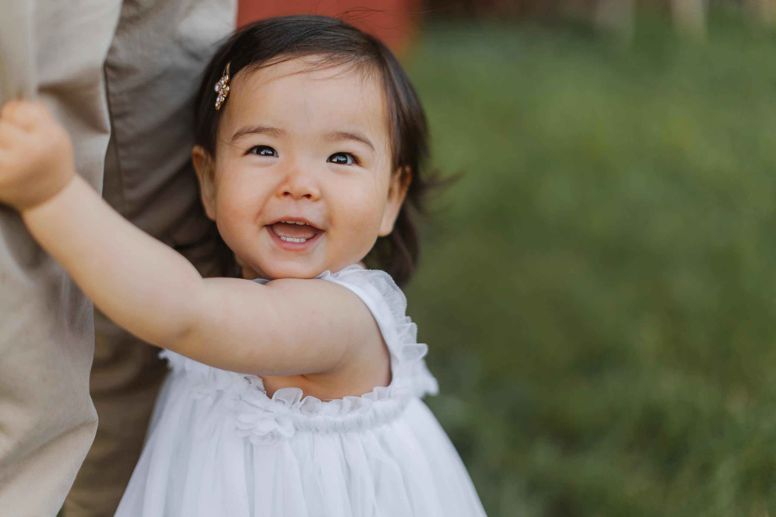 05.25.26 Family Photoshoot. Wedding family event photographer in Chicago Nick Yushevich