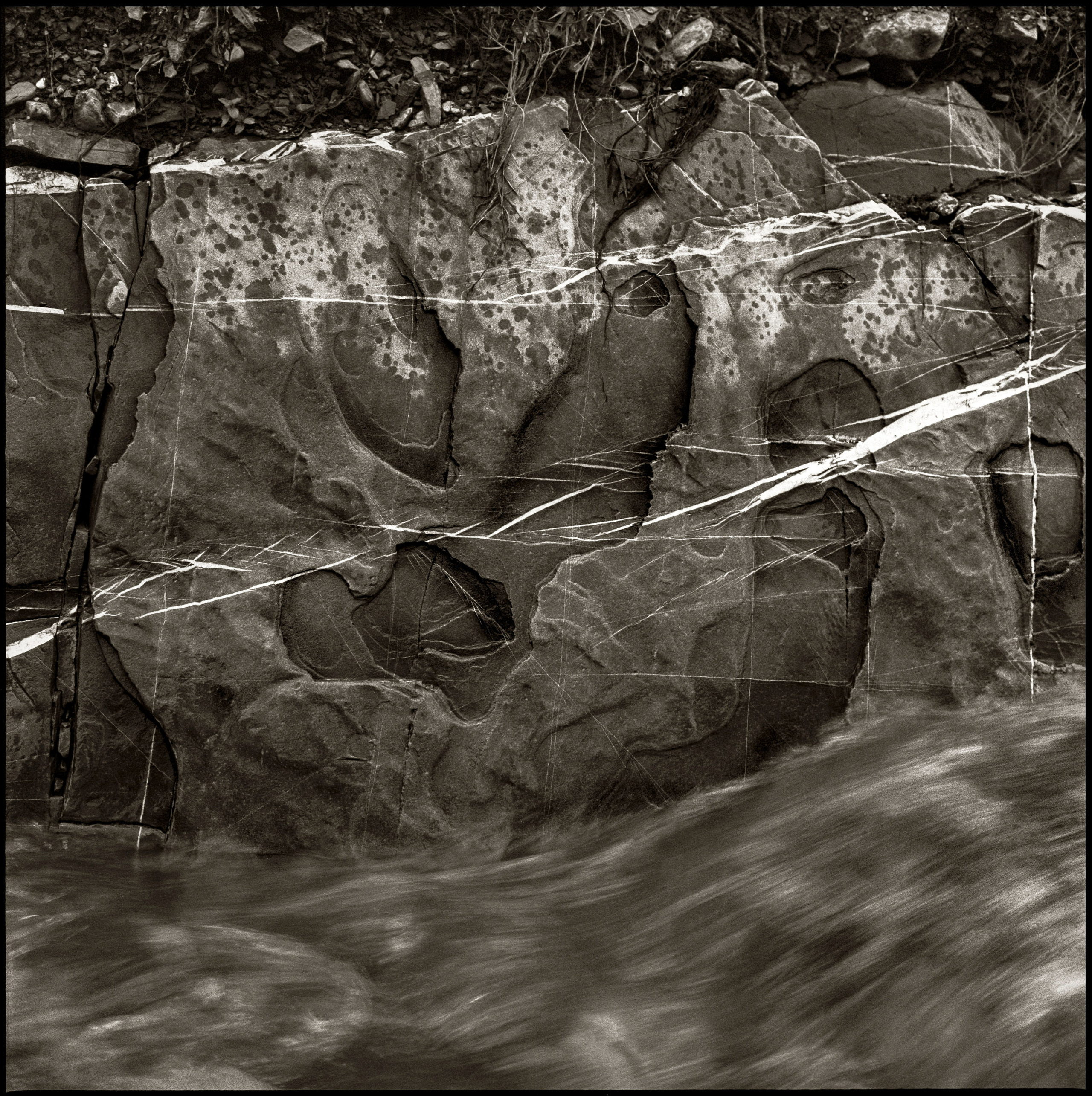 NATURE. Www.sananaleskerov.com