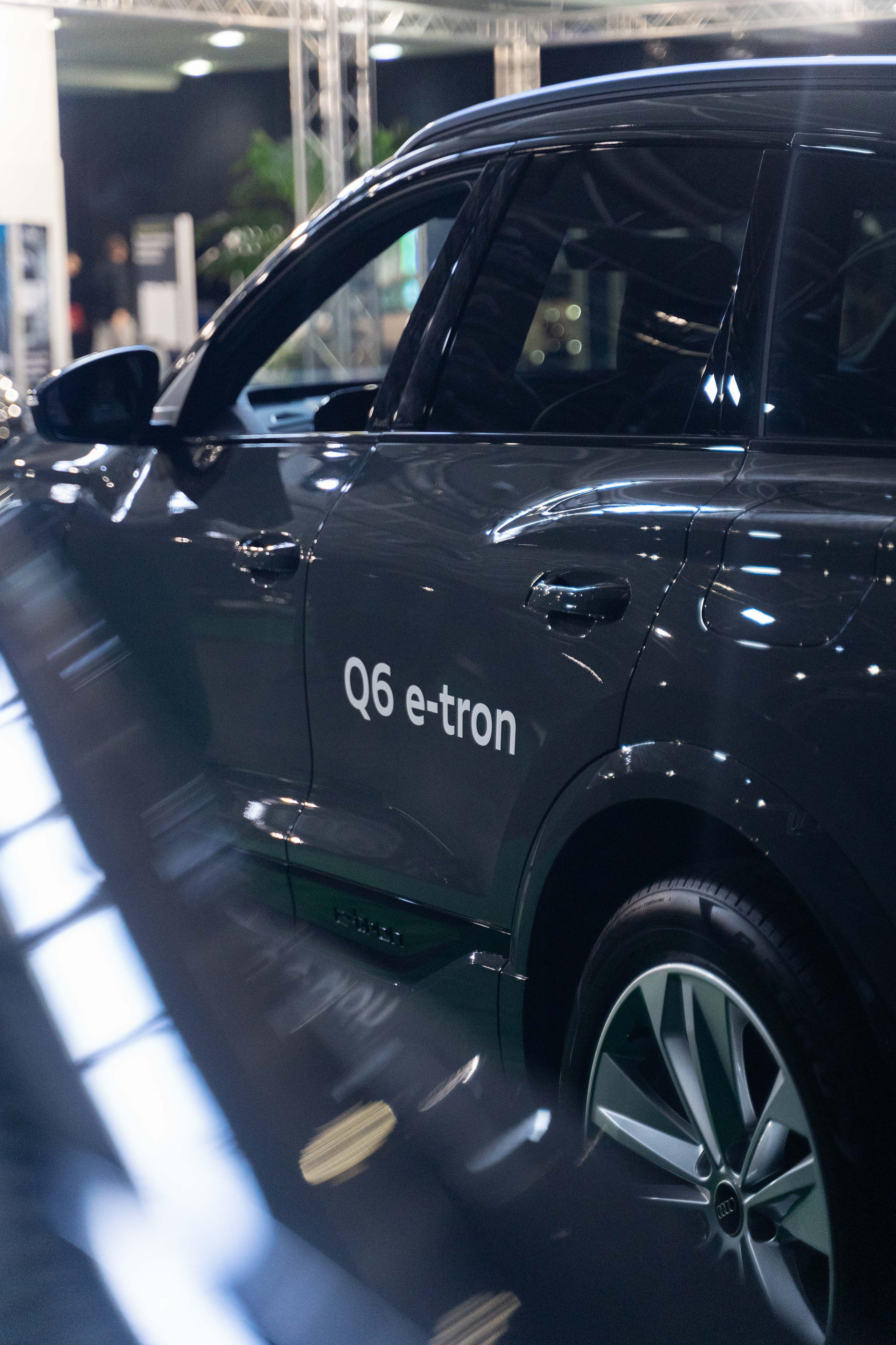 Electric Vehicles Days in Novi Sad 2024. Жуков Студио