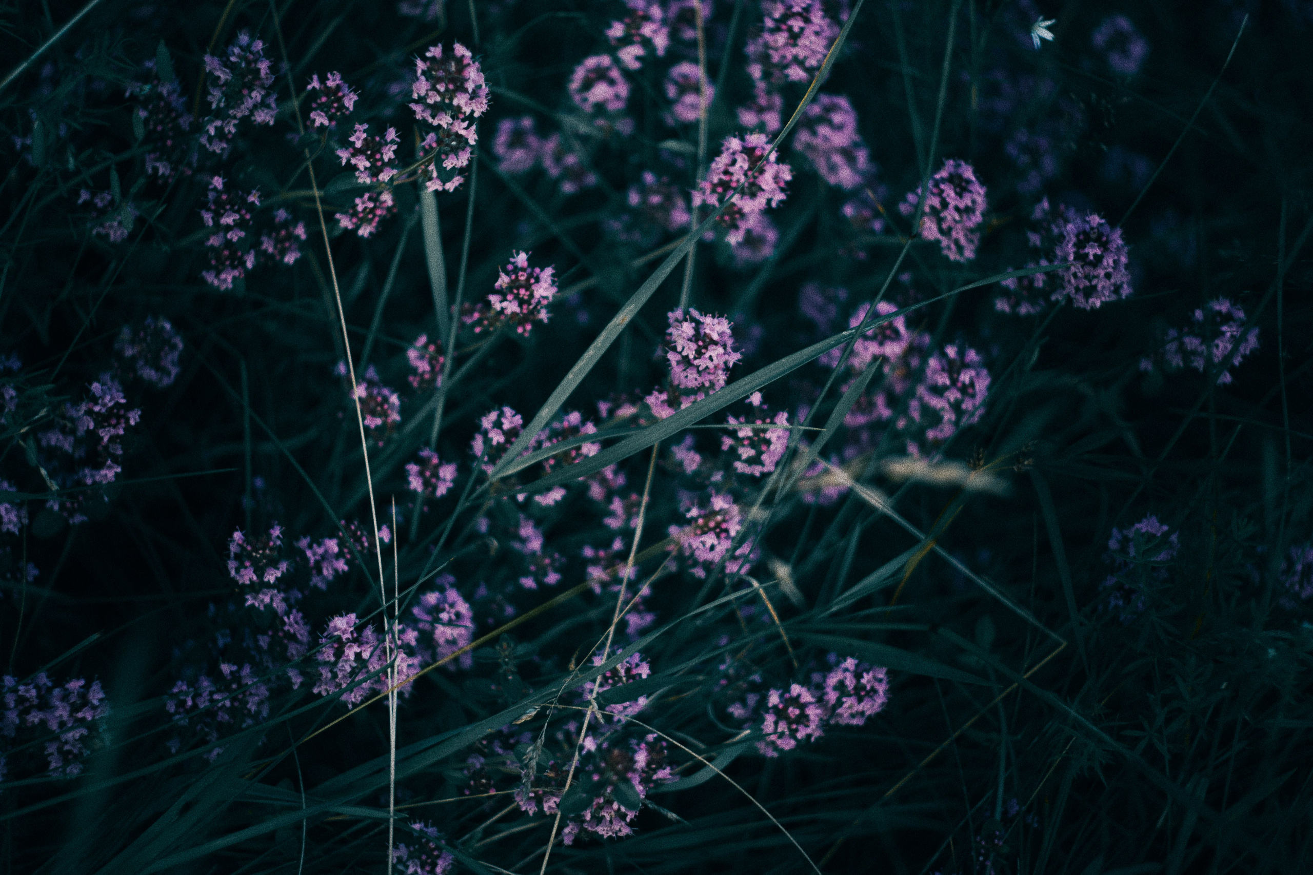 Lisa. Yana — Cinematic Photoshoots in Minsk