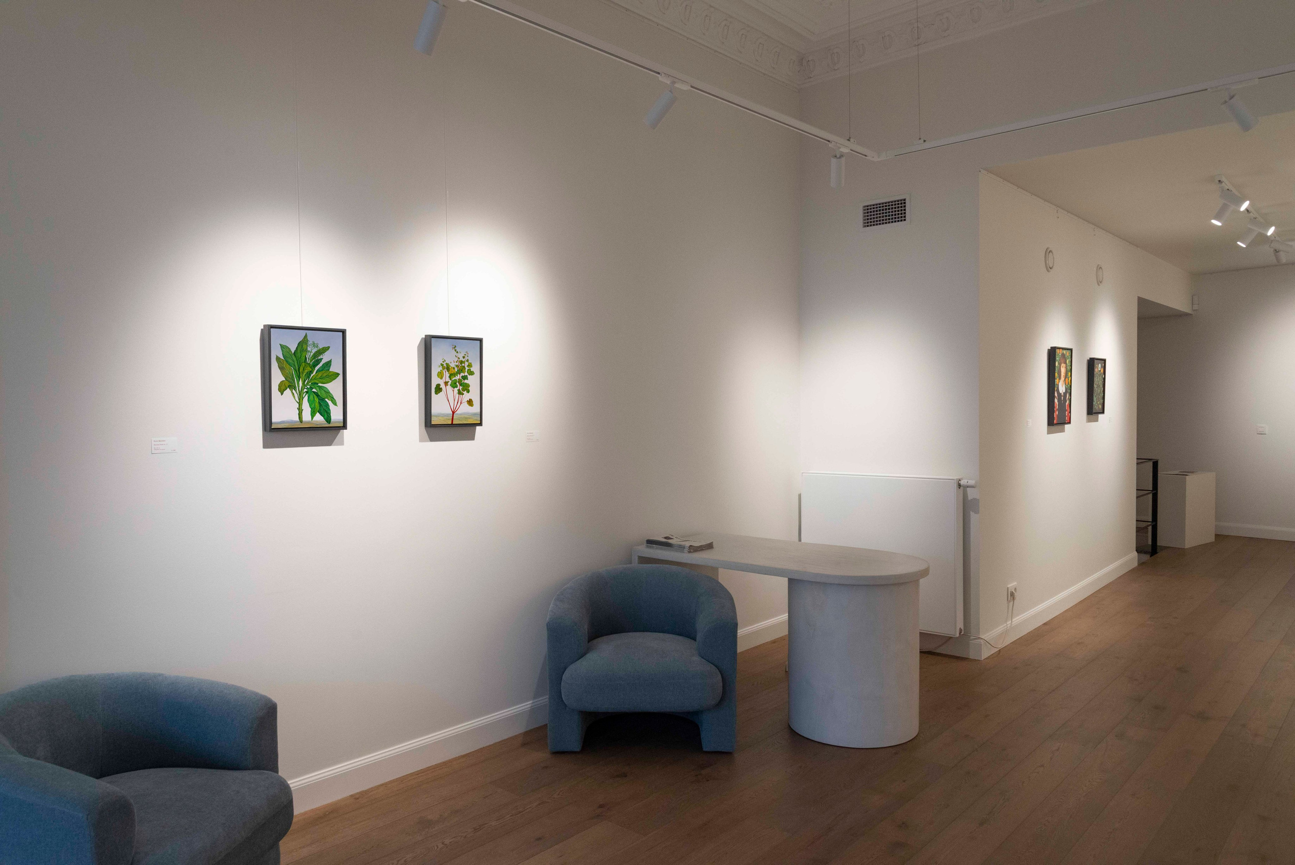 Botanica Humana. Solo Exhibition at MLVA Art Gallery. ELEN BEZHEN