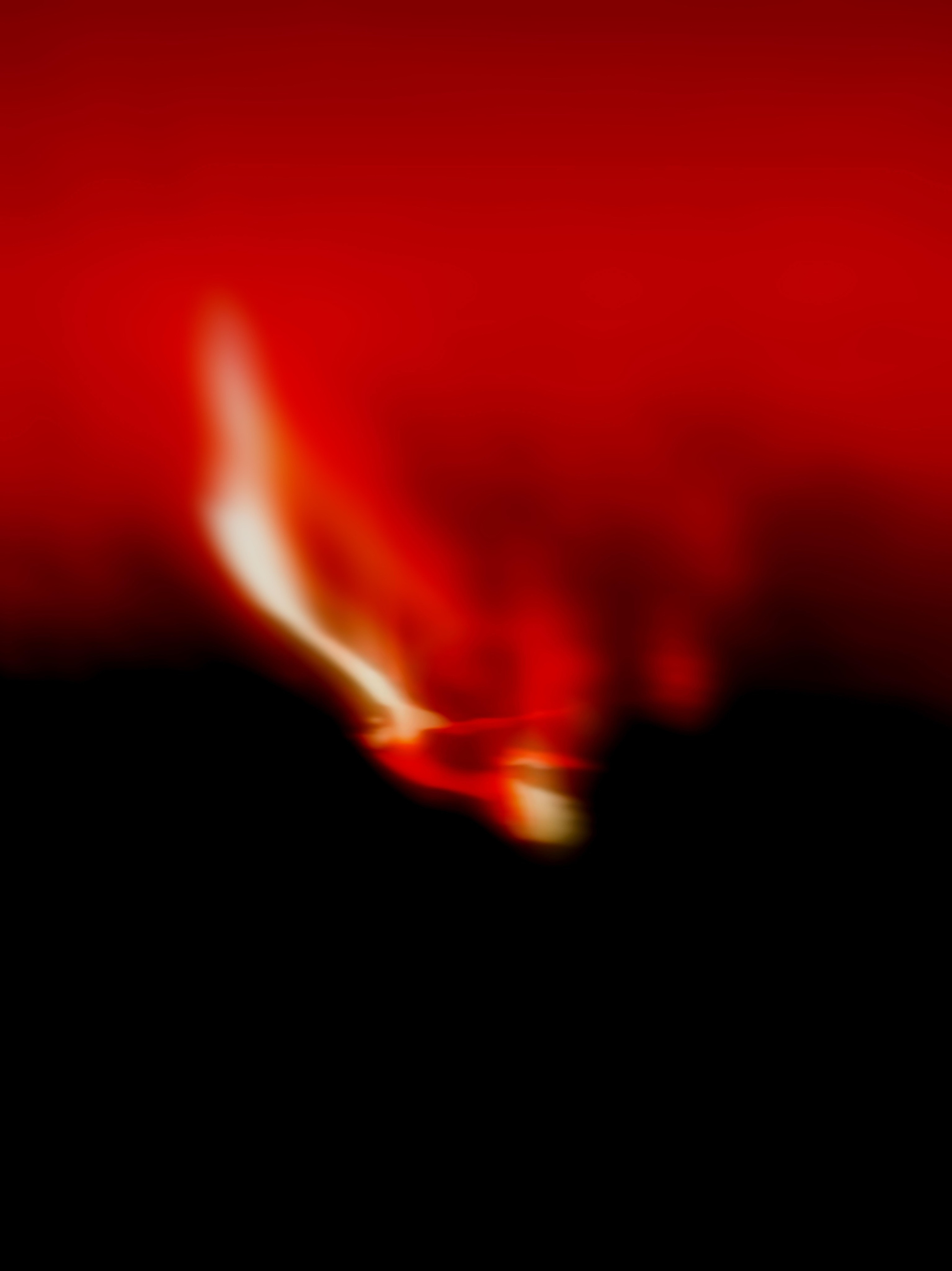 SEAGULLS. Irina Owlik — Visual Artist