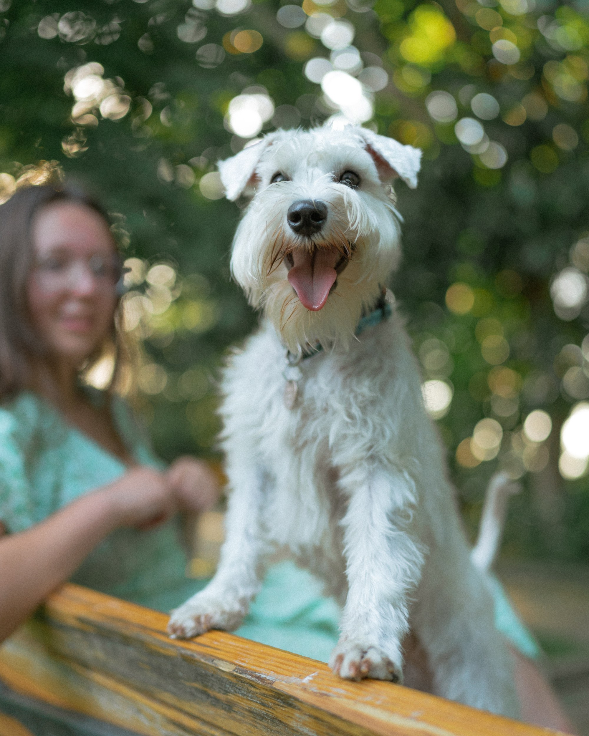 Ольга и Халва. Индивидуальный и свадебный фотограф в Батуми Валерия Азаренко