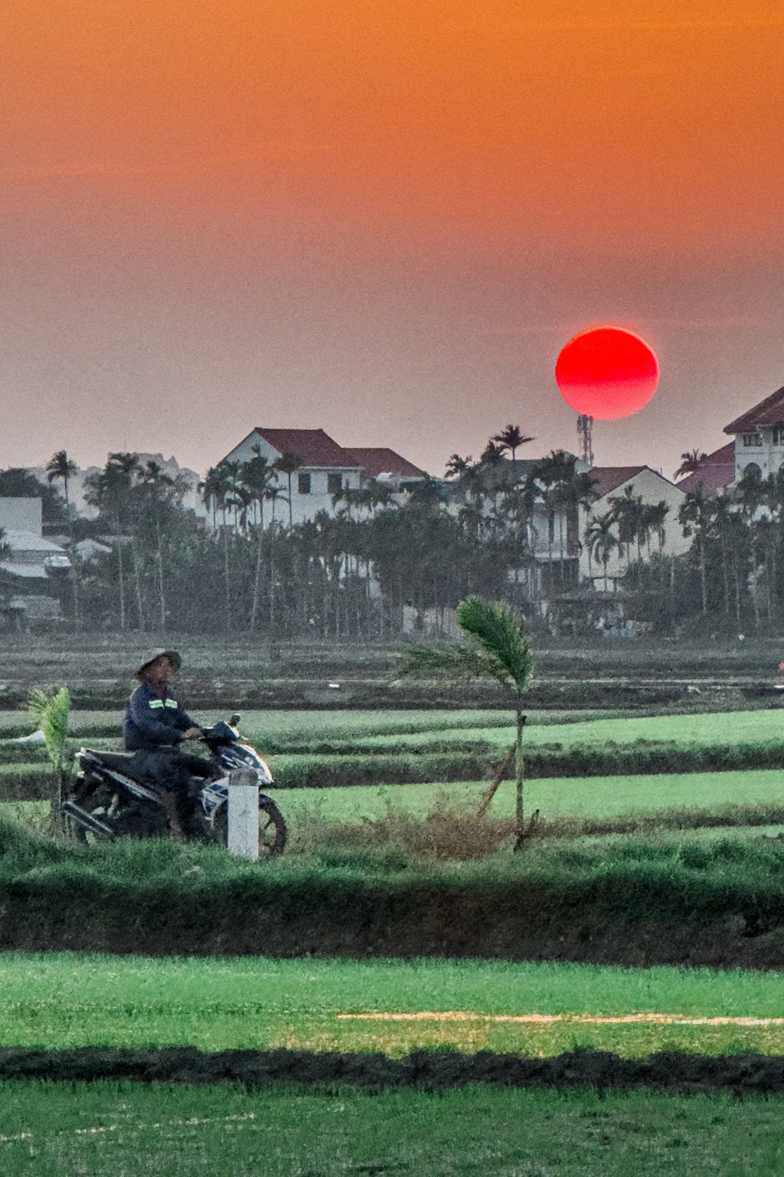 A Morning in Hoi An
