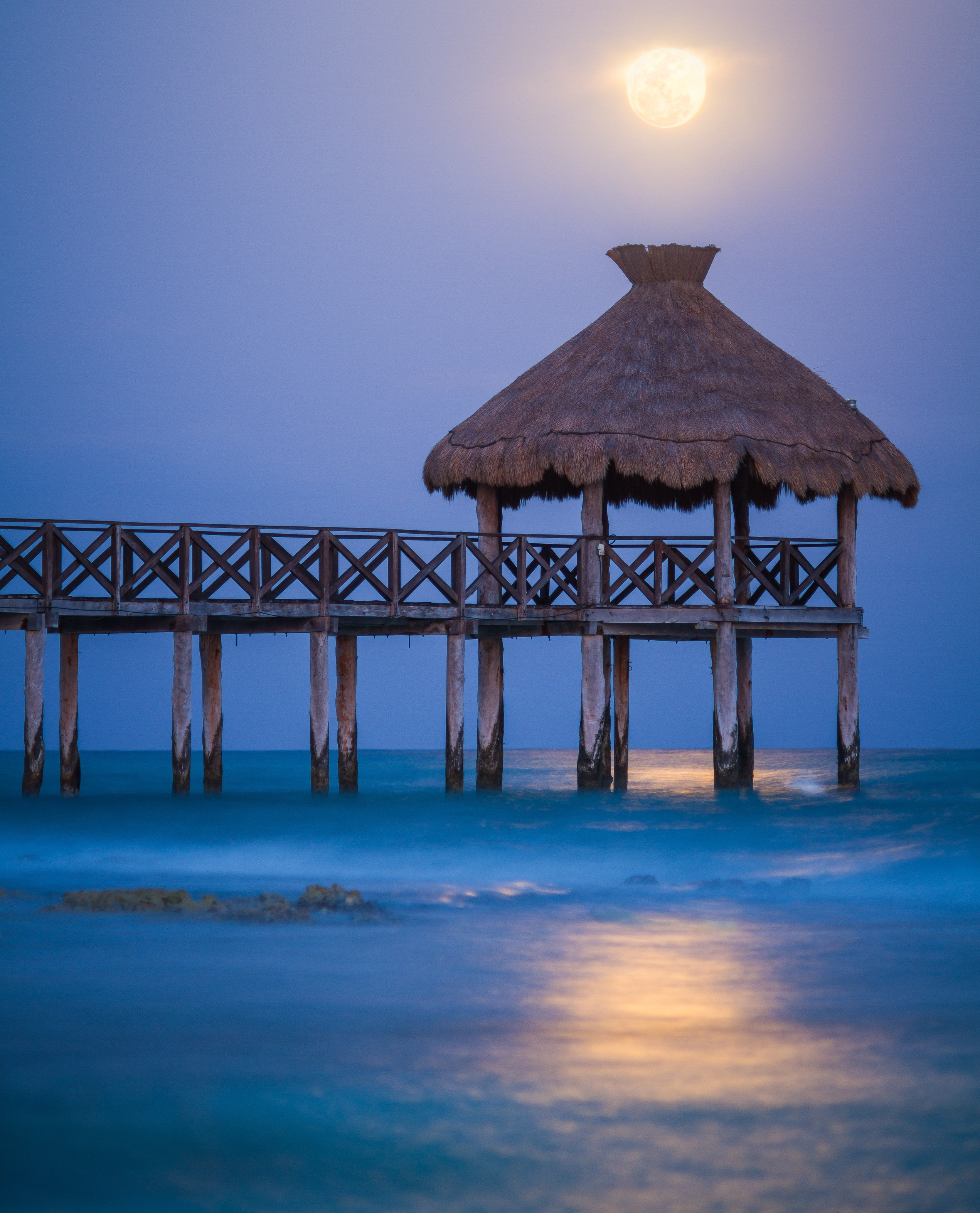 Fotógrafo Profesional en Guadalajara