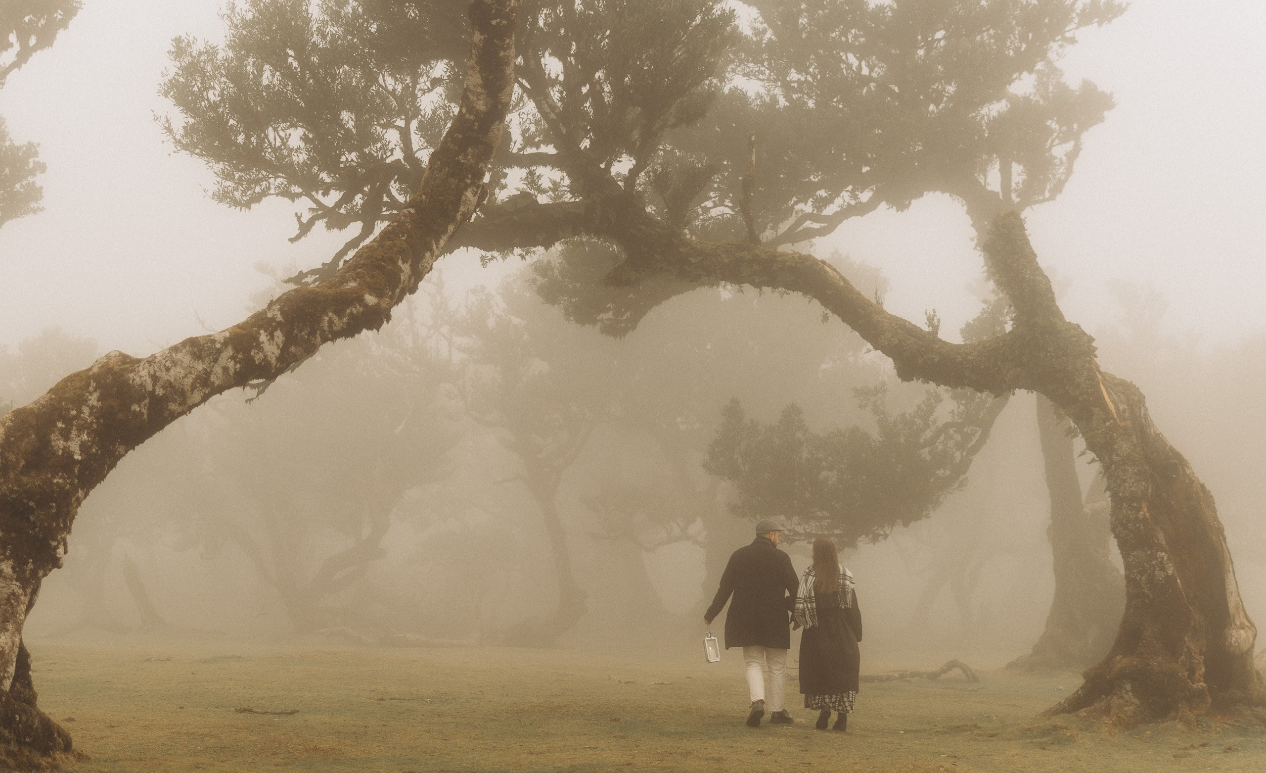 Couple photoshoot in Fanal Forest Madeira PortugalA romantic couple standing amidst the ancient laurel trees of Fanal Forest, Madeira, surrounded by a mystical fog that adds an ethereal touch to the scene