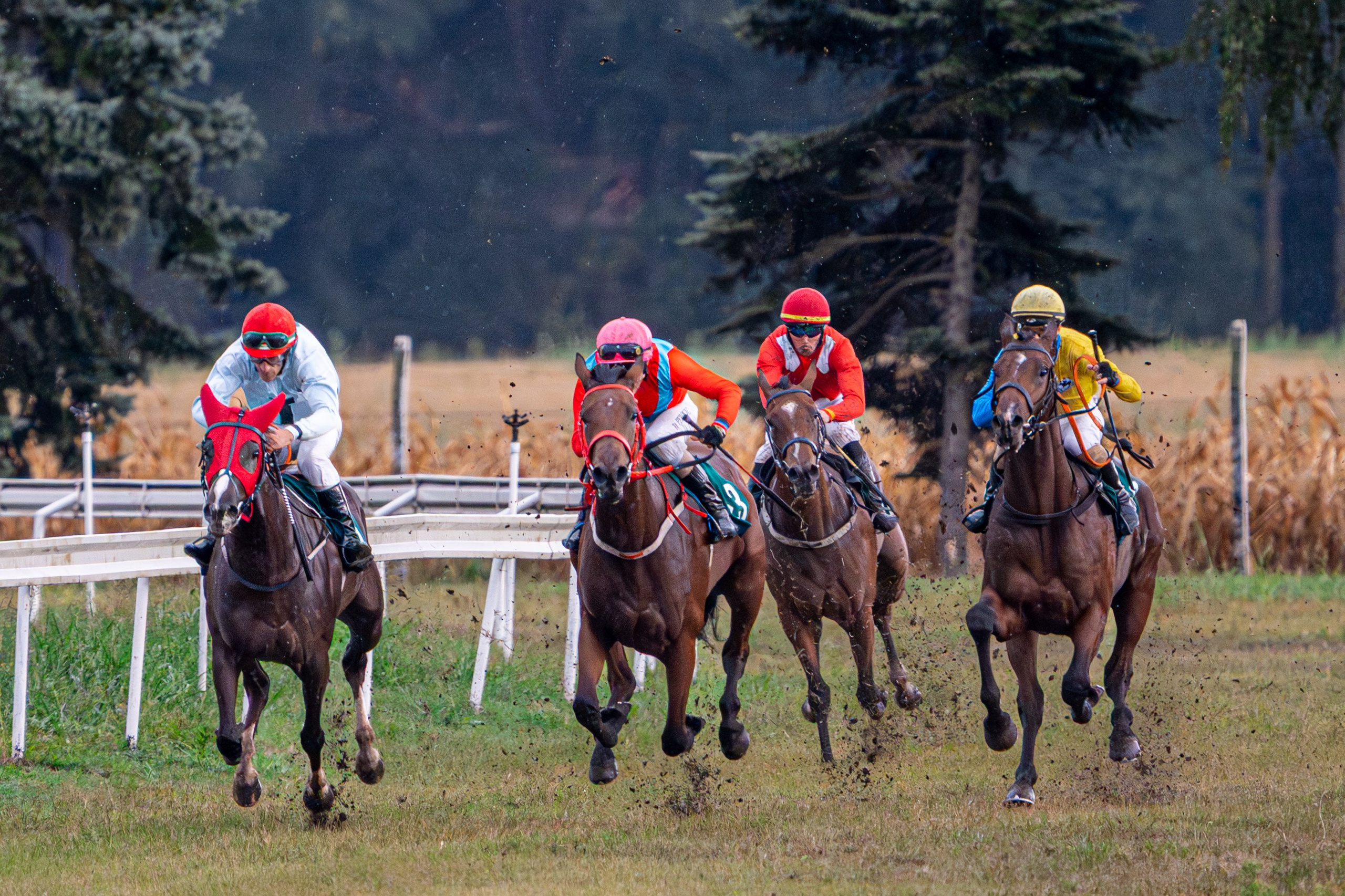 Sport. Wedding photography