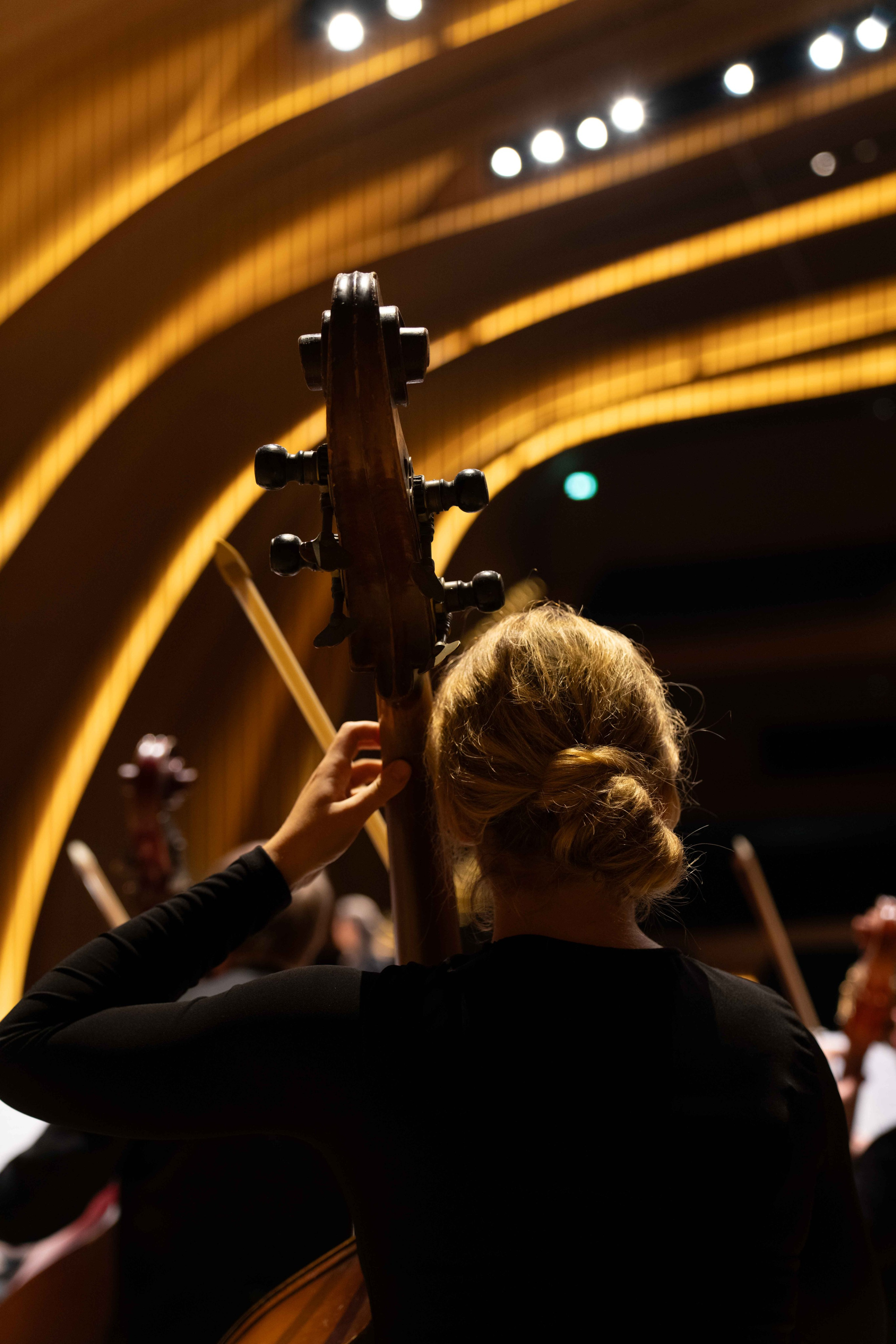The Tchaikovsky Academic Grand Symphony Orchestra in Baku. Wedding&Event photographer Ismail Rzayev in Baku