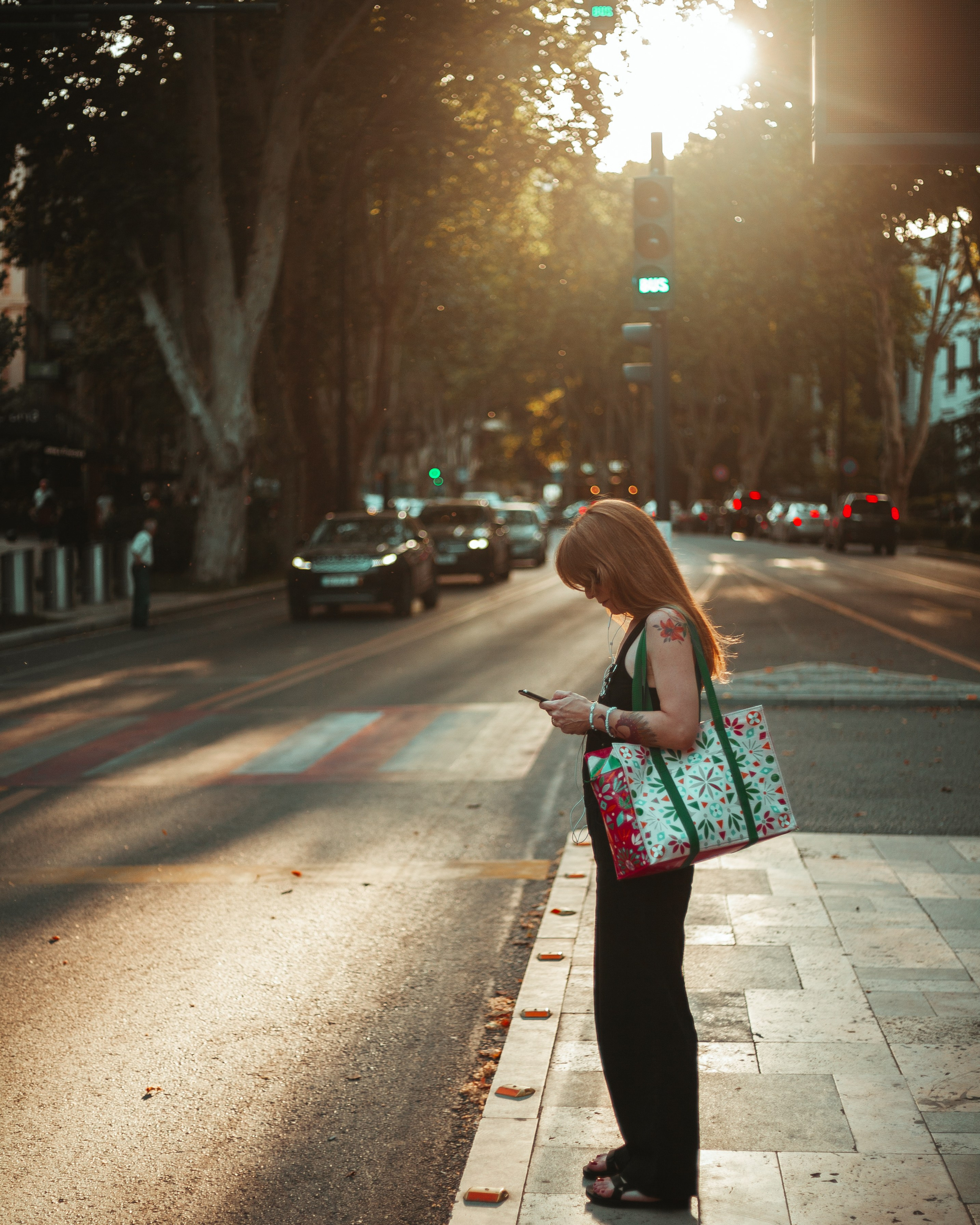 T B I L I S I. Bspander