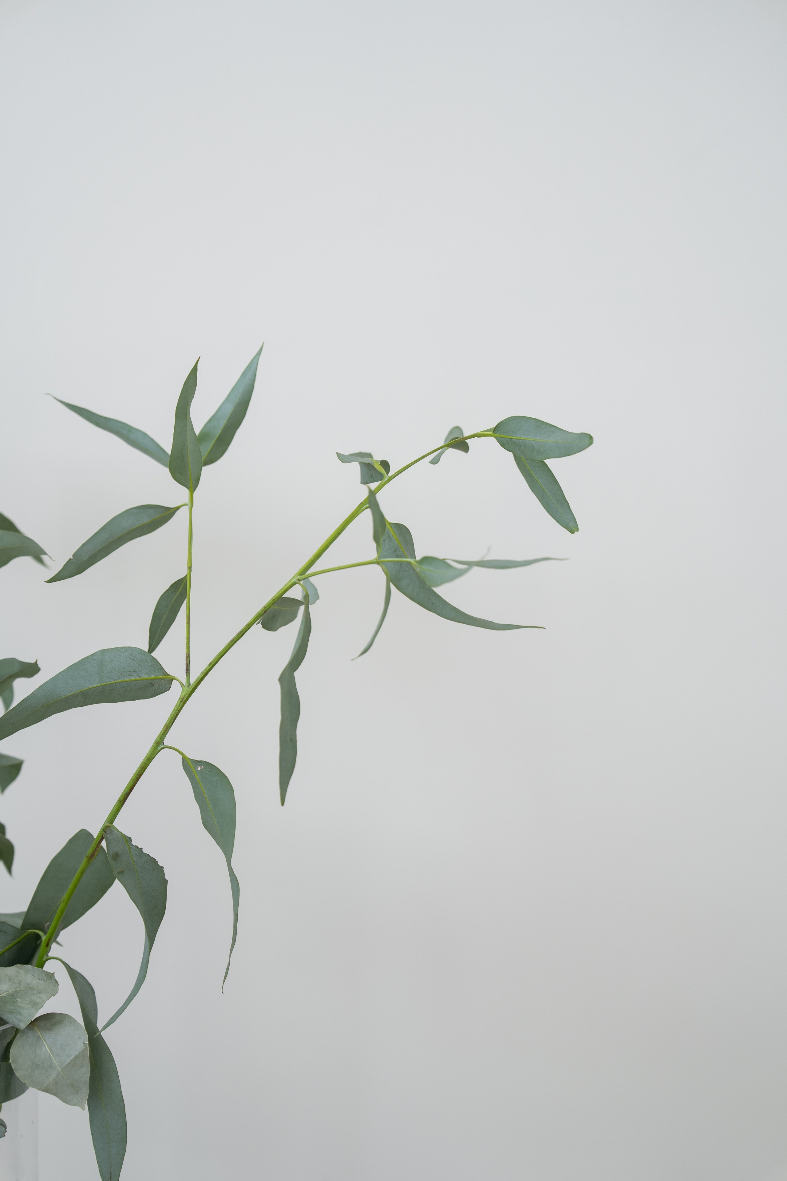 Контент для блога. Ekaterina Verbitskaya. Photography