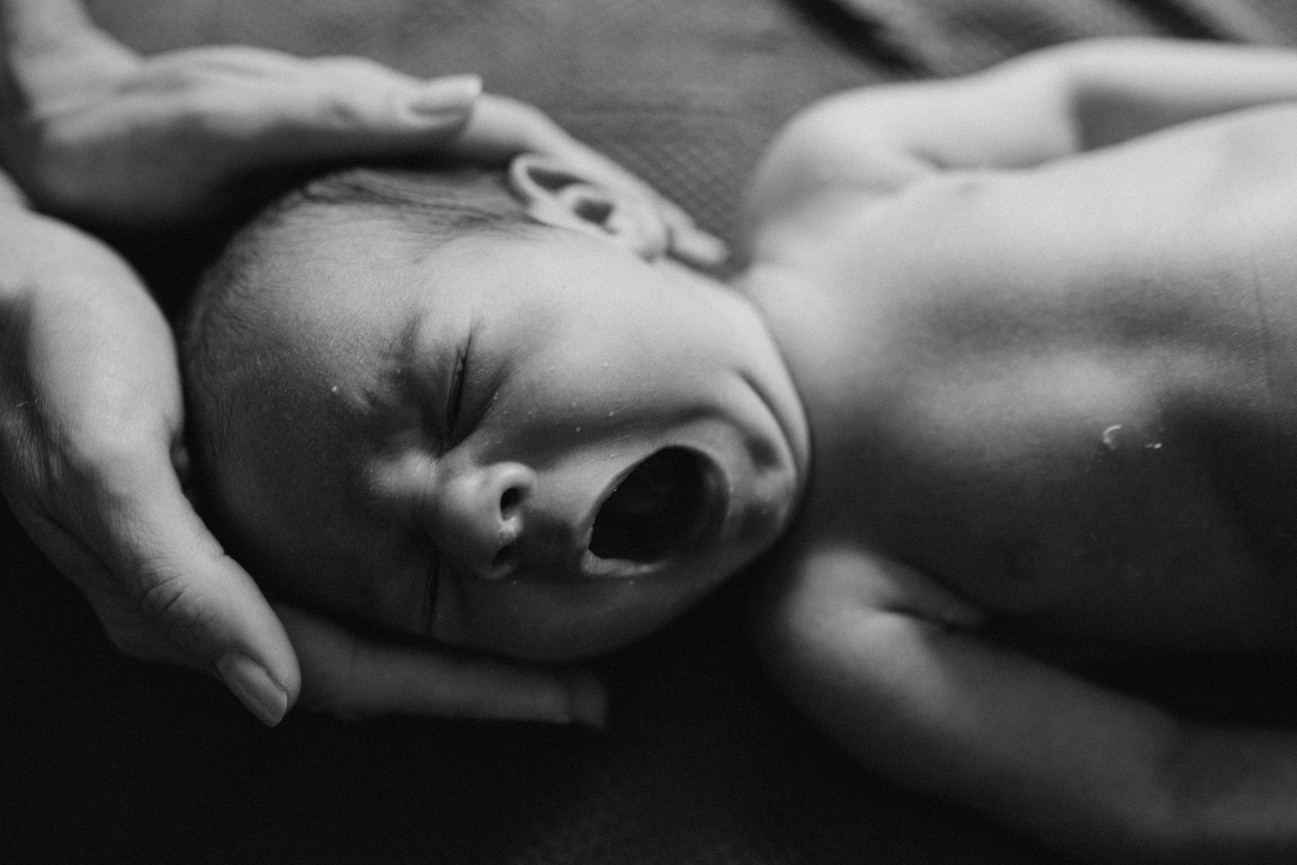 7 dias do Felipe. Fotografa de família e crianças em Florianópolis SC Daria Ermolaev