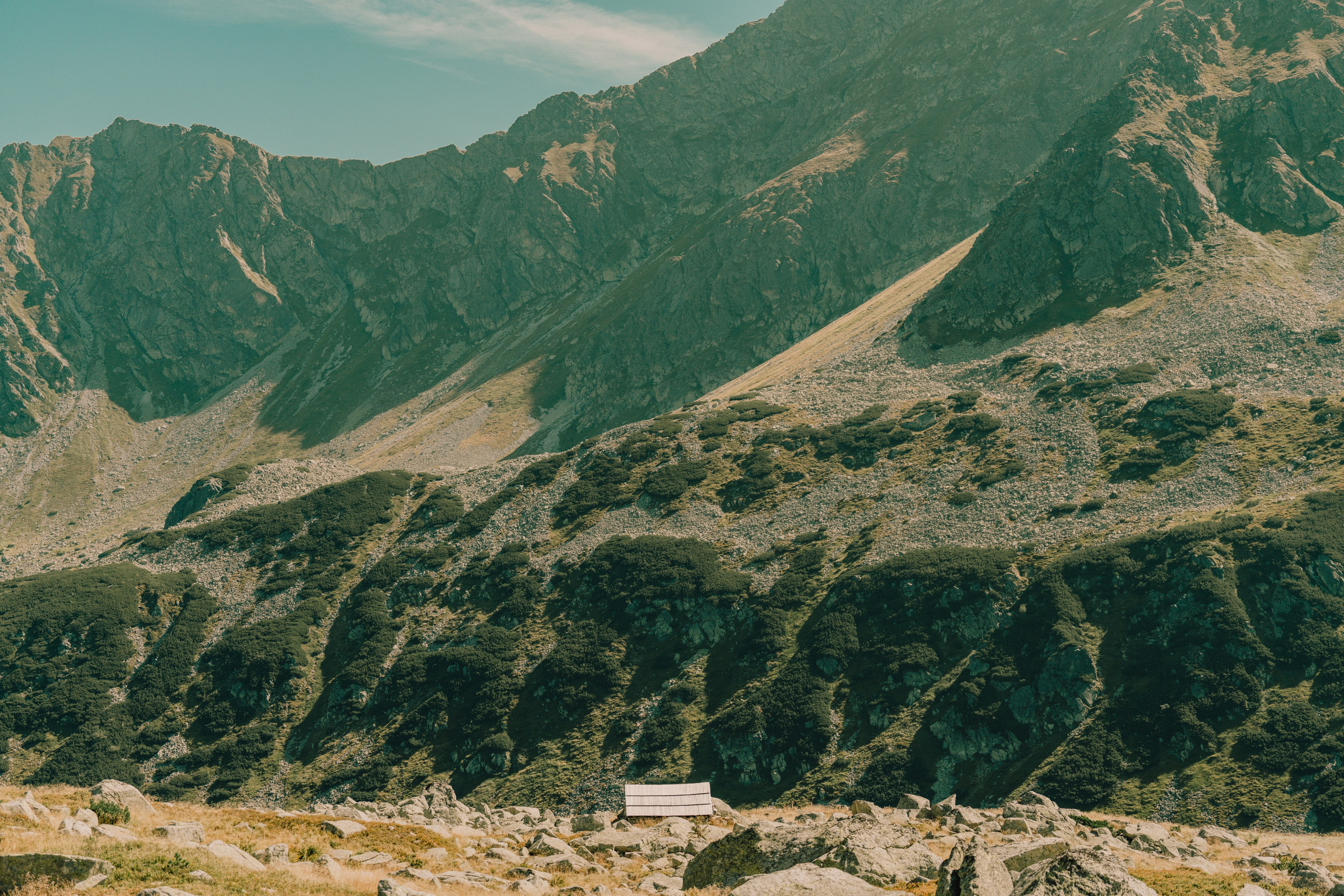 Landscape. Fotograf Poznan