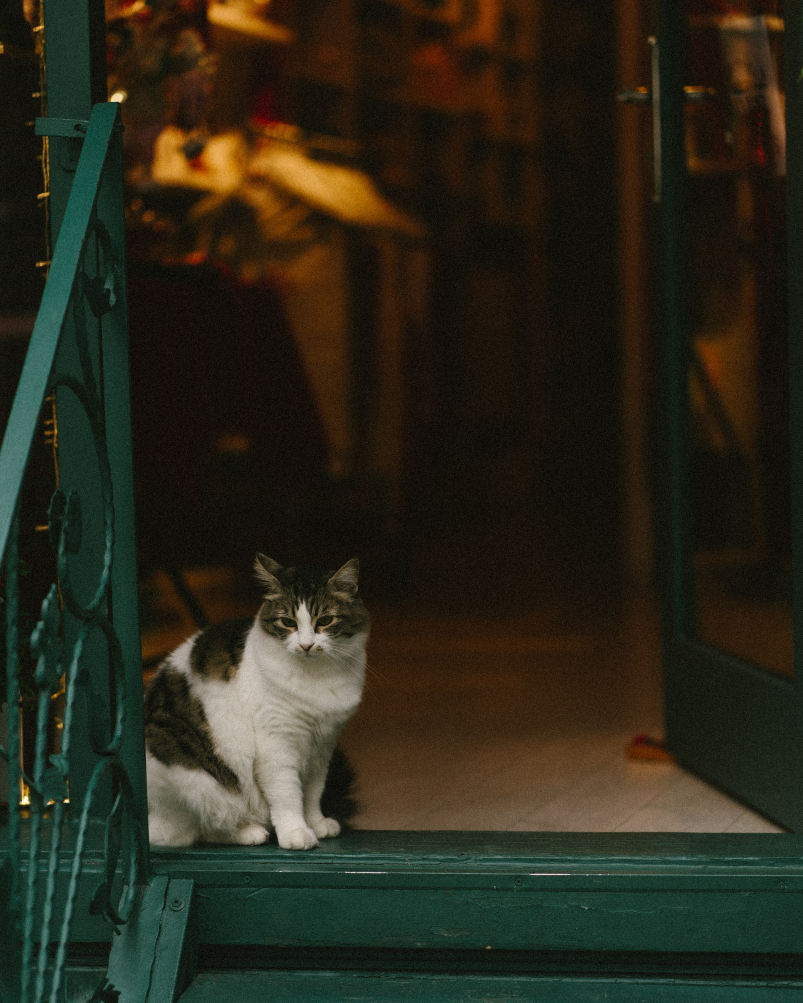 Yulia. Даша Родина женский фотограф в Стамбуле