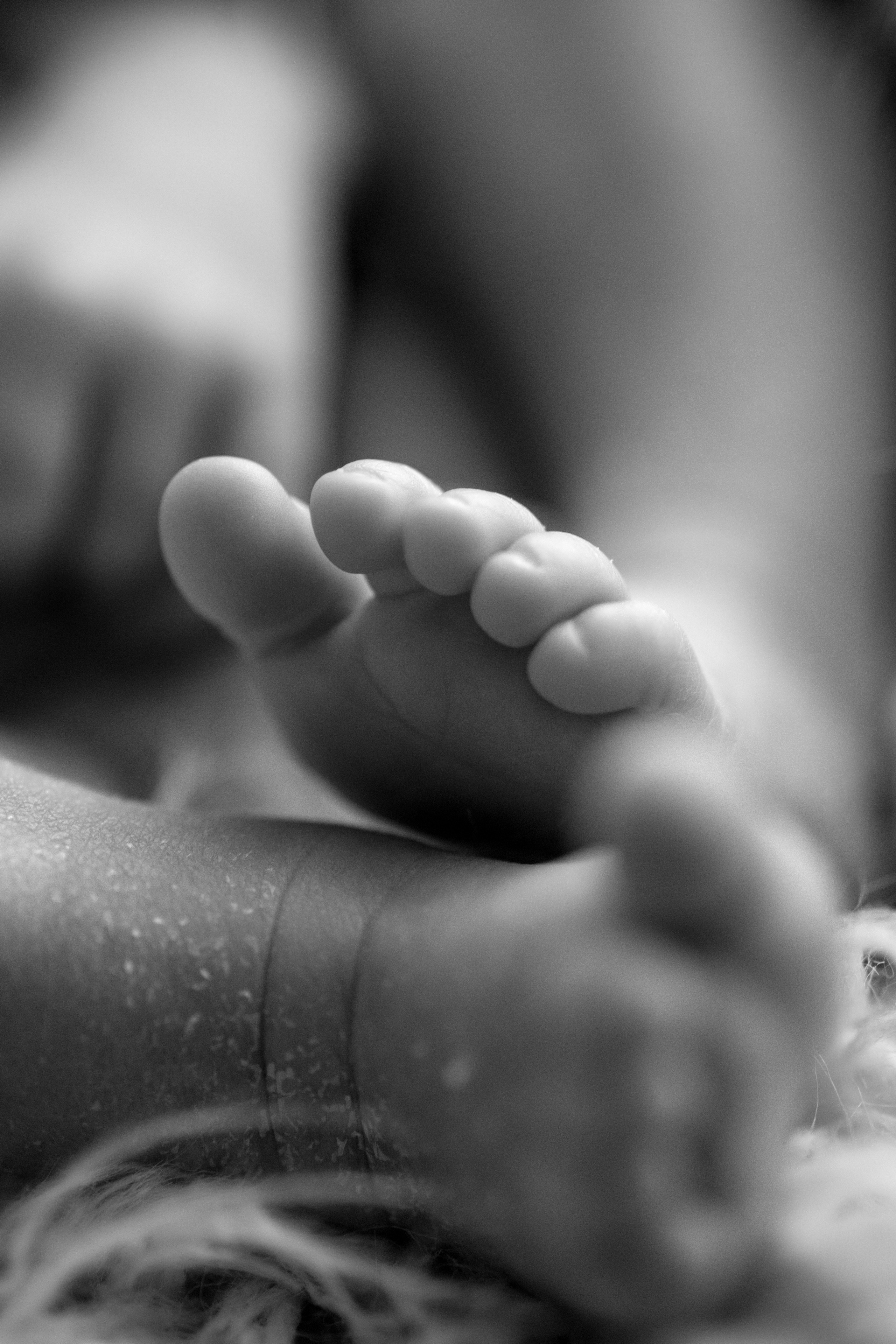 NEWBORN. Valokuvaaja Itä-Uudellamaalla Viktoria photography