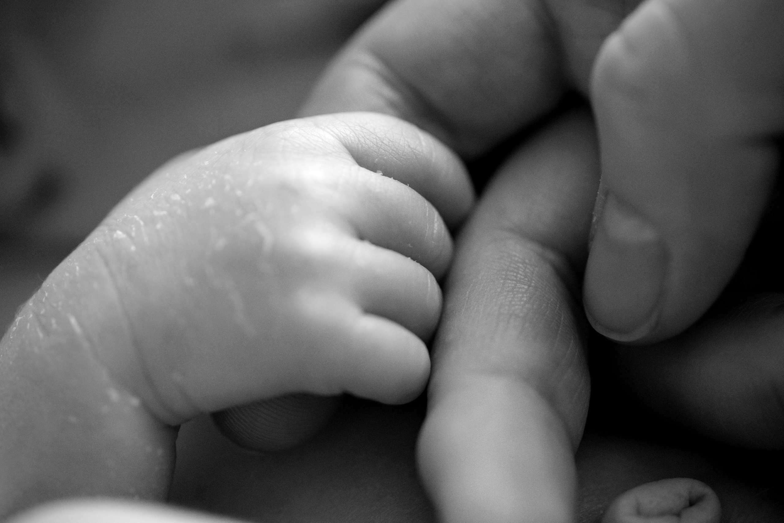 NEWBORN. Valokuvaaja Itä-Uudellamaalla Viktoria photography