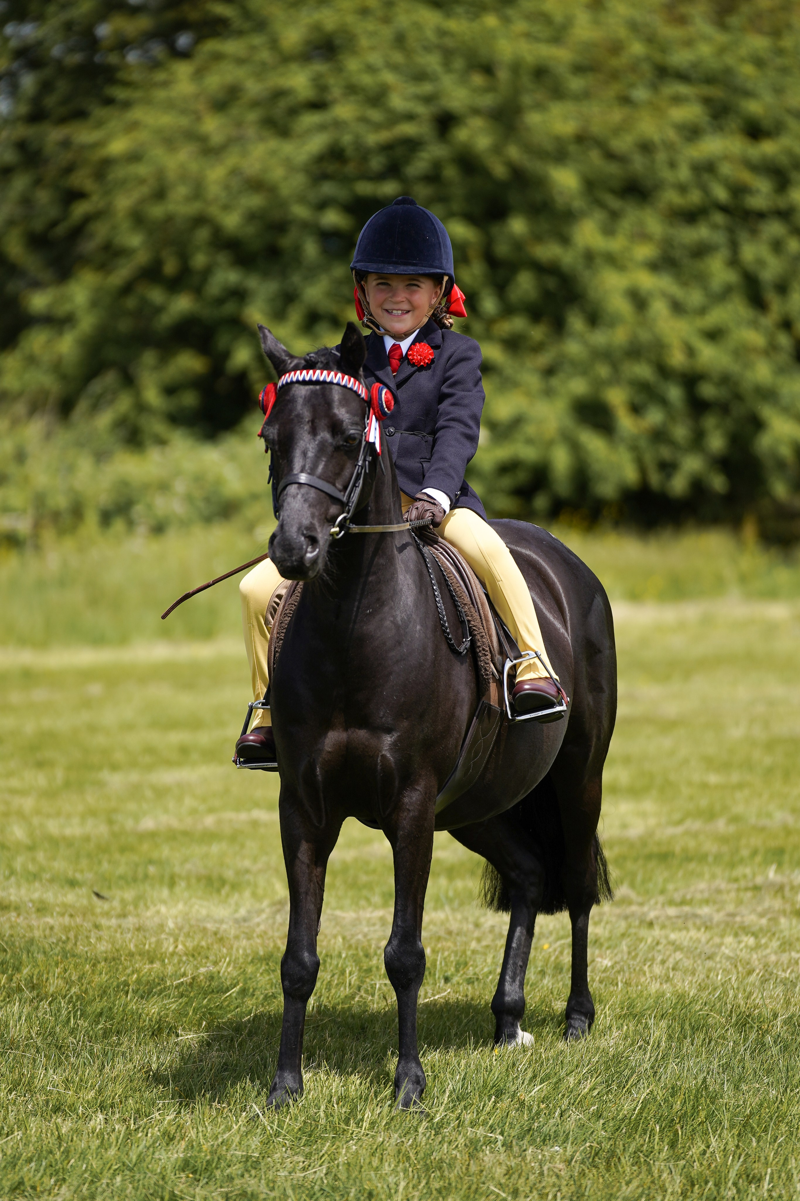 Showing. Leicestershire Equine Photography by El | Authentic Equine Portraits & Events