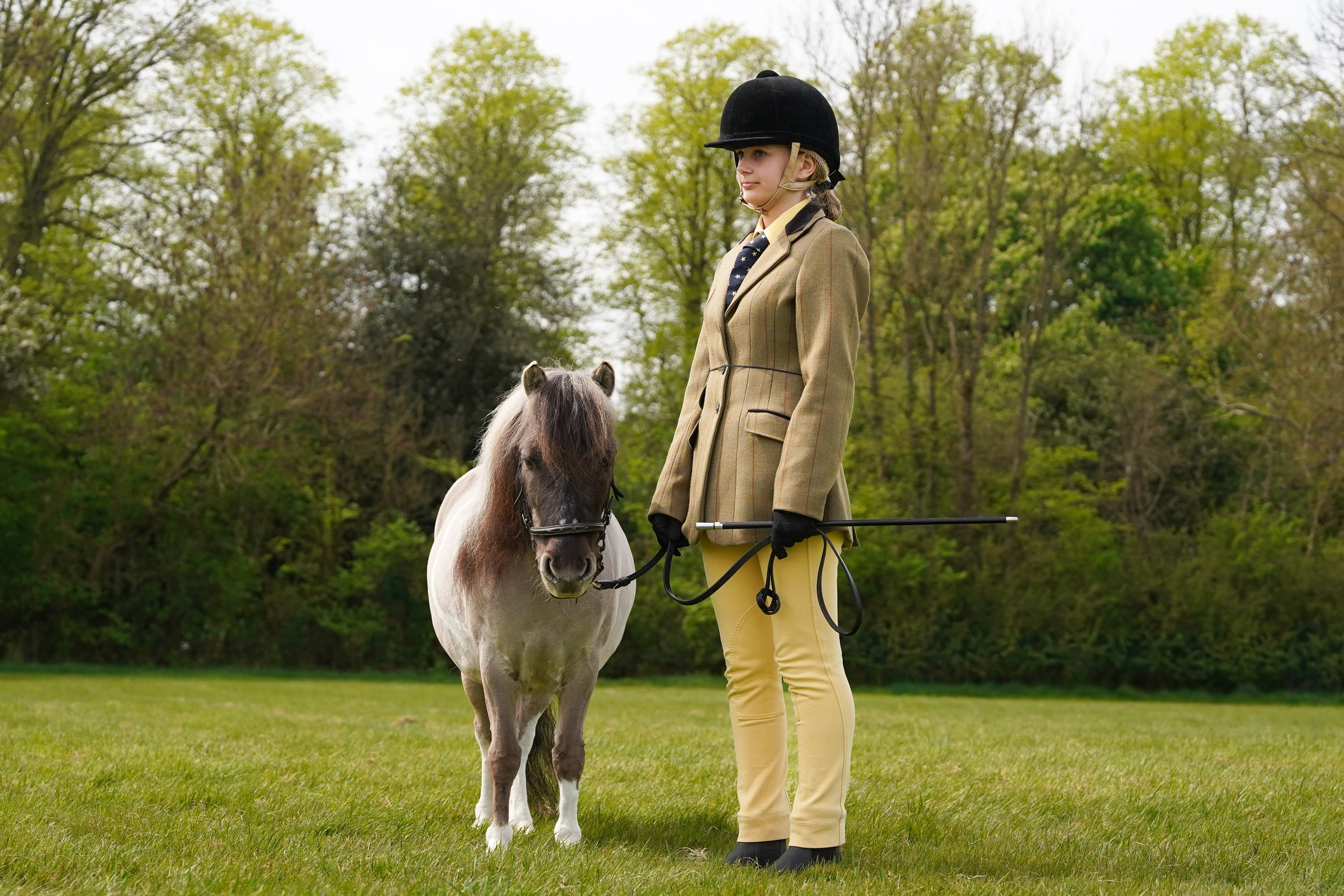 Showing. Leicestershire Equine Photography by El | Authentic Equine Portraits & Events