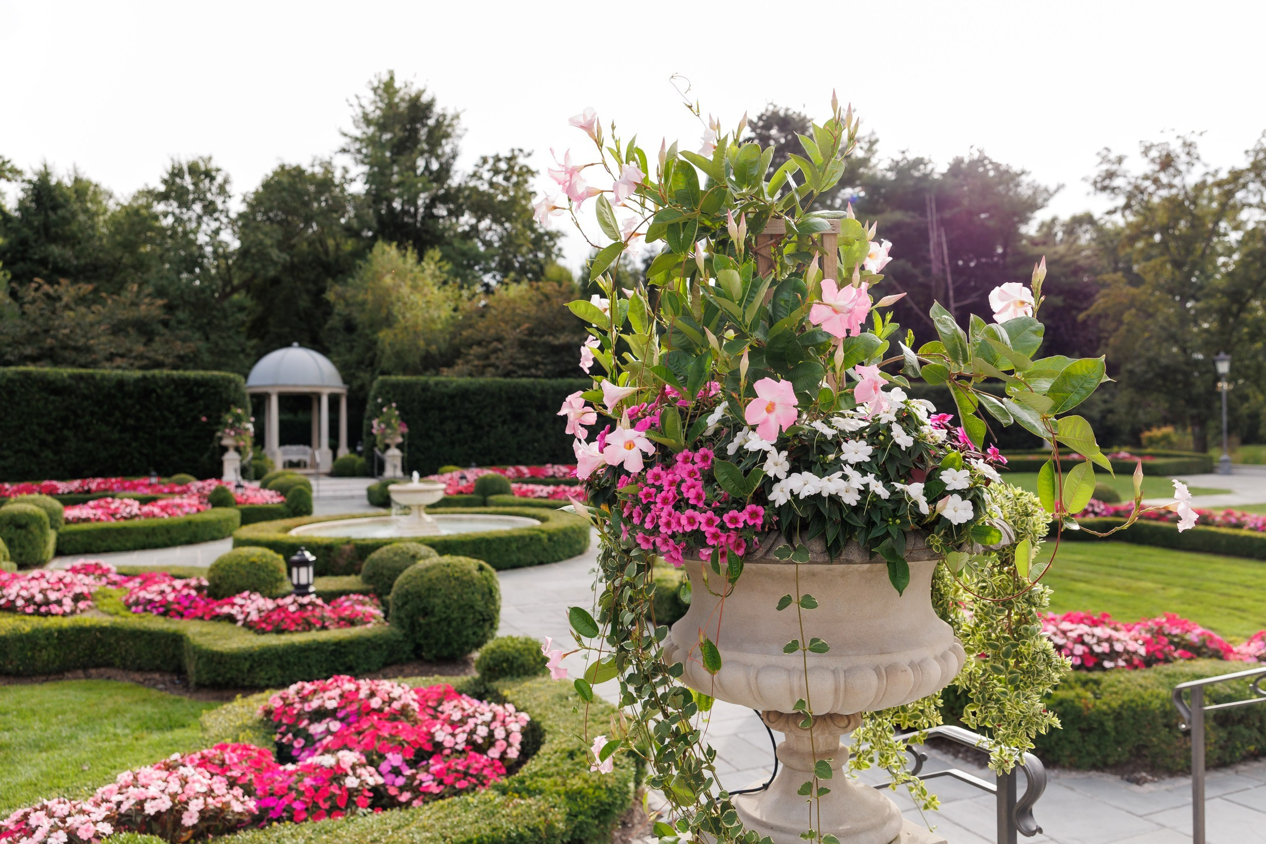 Arianeh & Michael, Park Chateau. Wedding Photo & Video